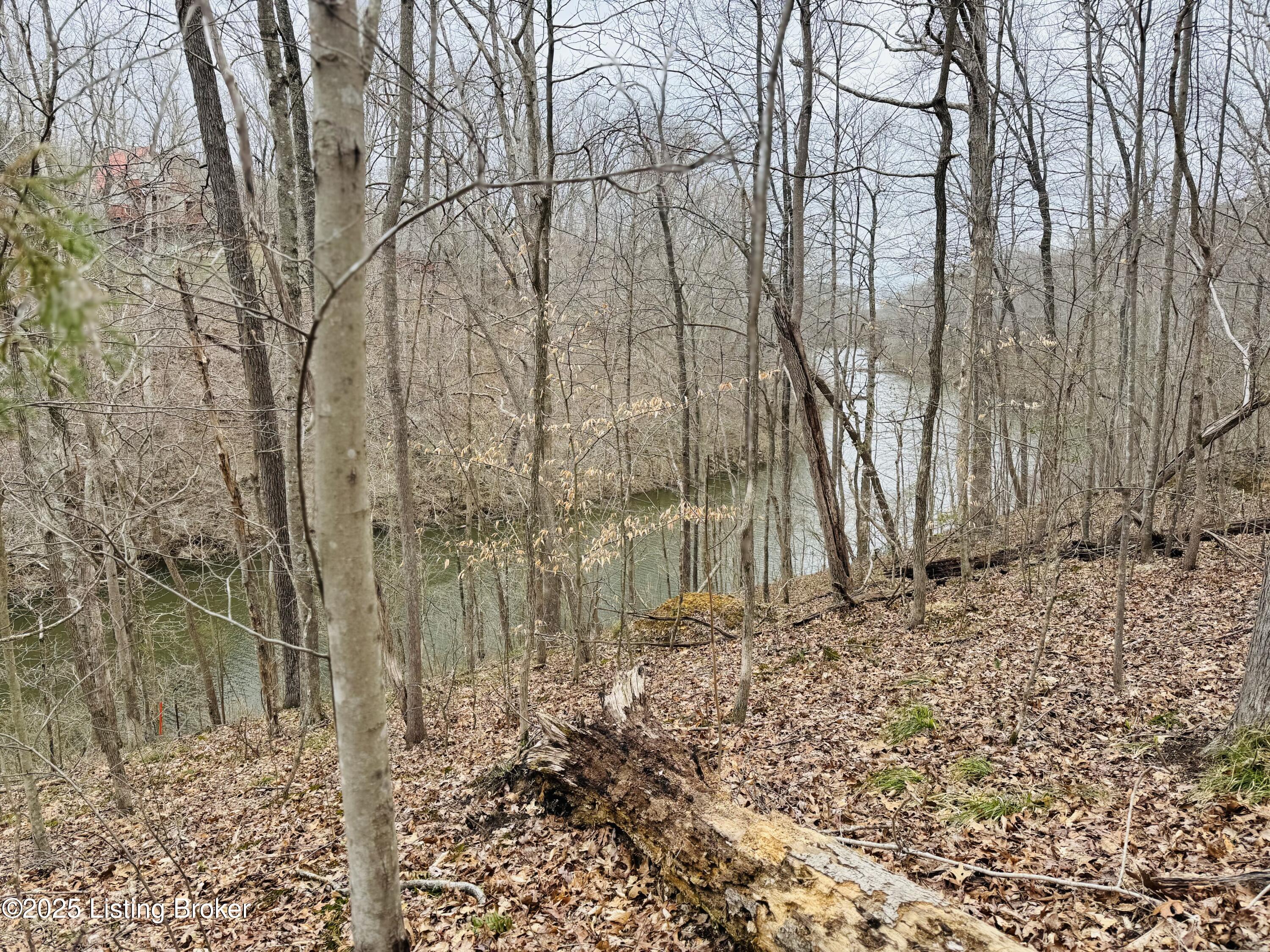 3 Hickory Ln, Mammoth Cave, Kentucky image 22