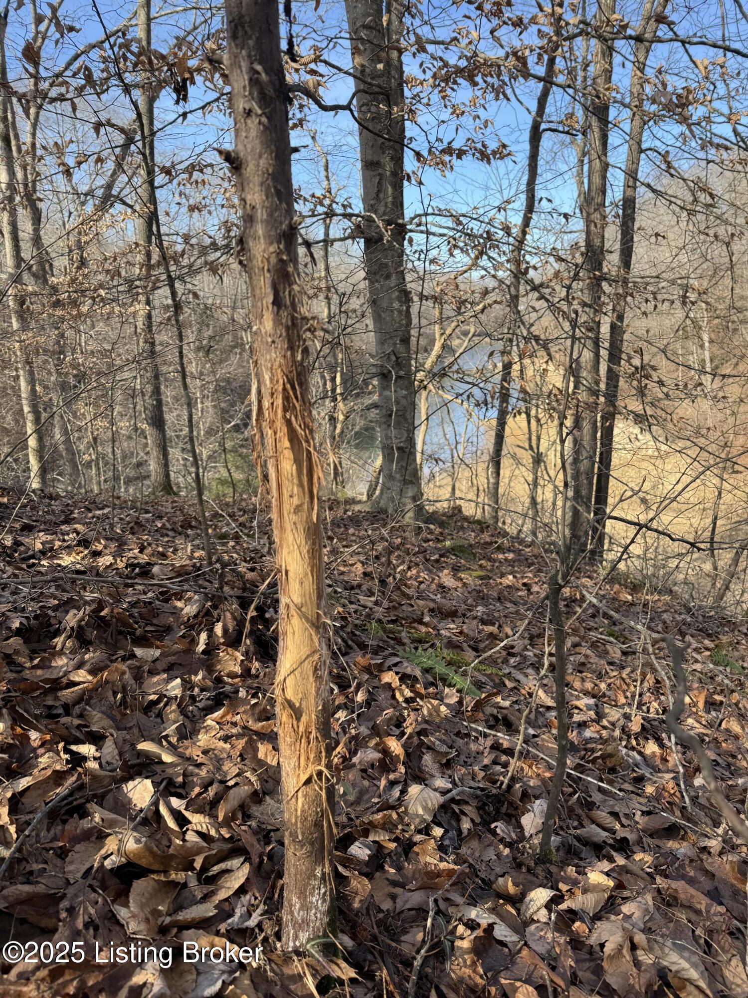 3 Hickory Ln, Mammoth Cave, Kentucky image 13