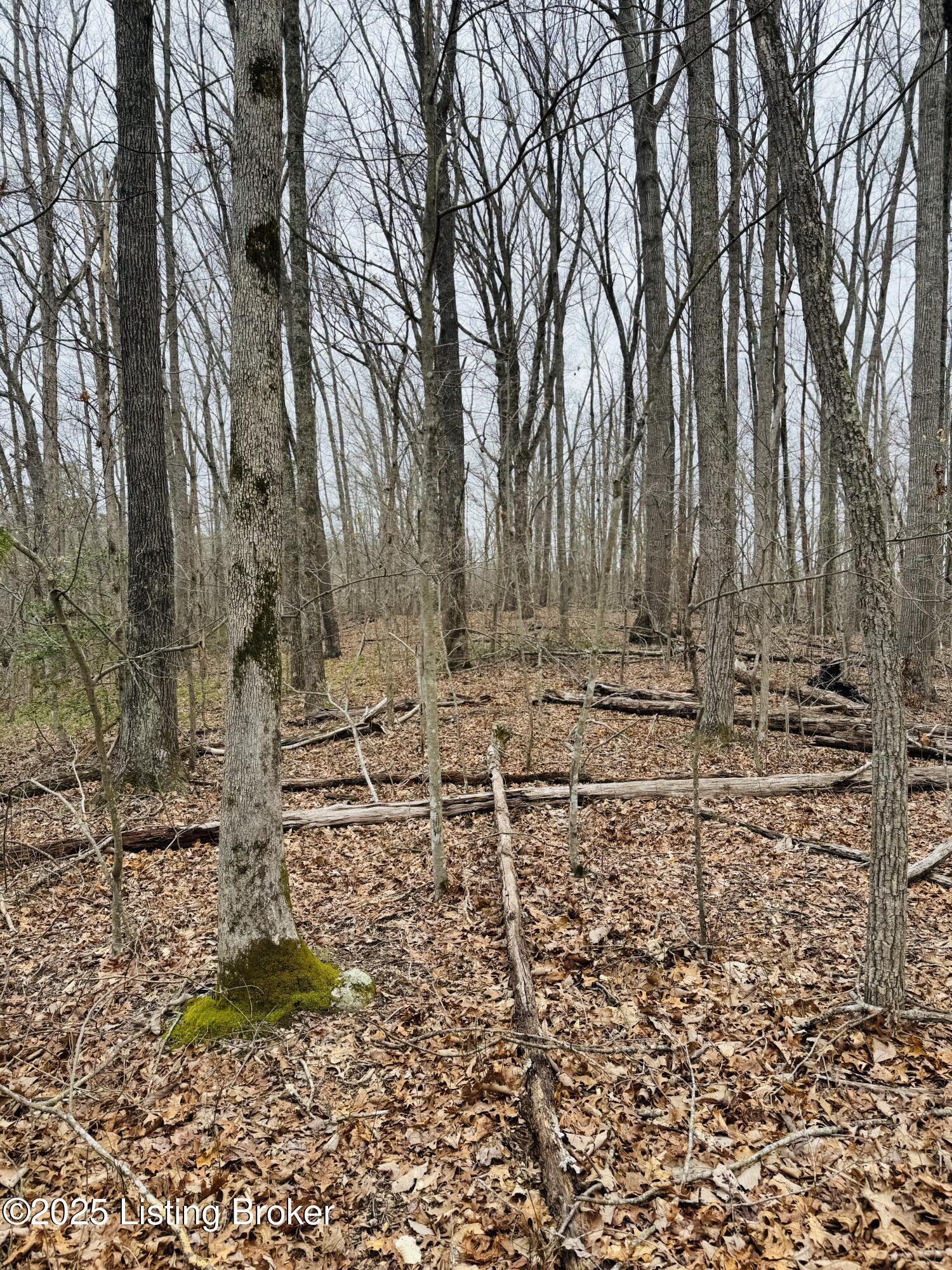 3 Hickory Ln, Mammoth Cave, Kentucky image 18