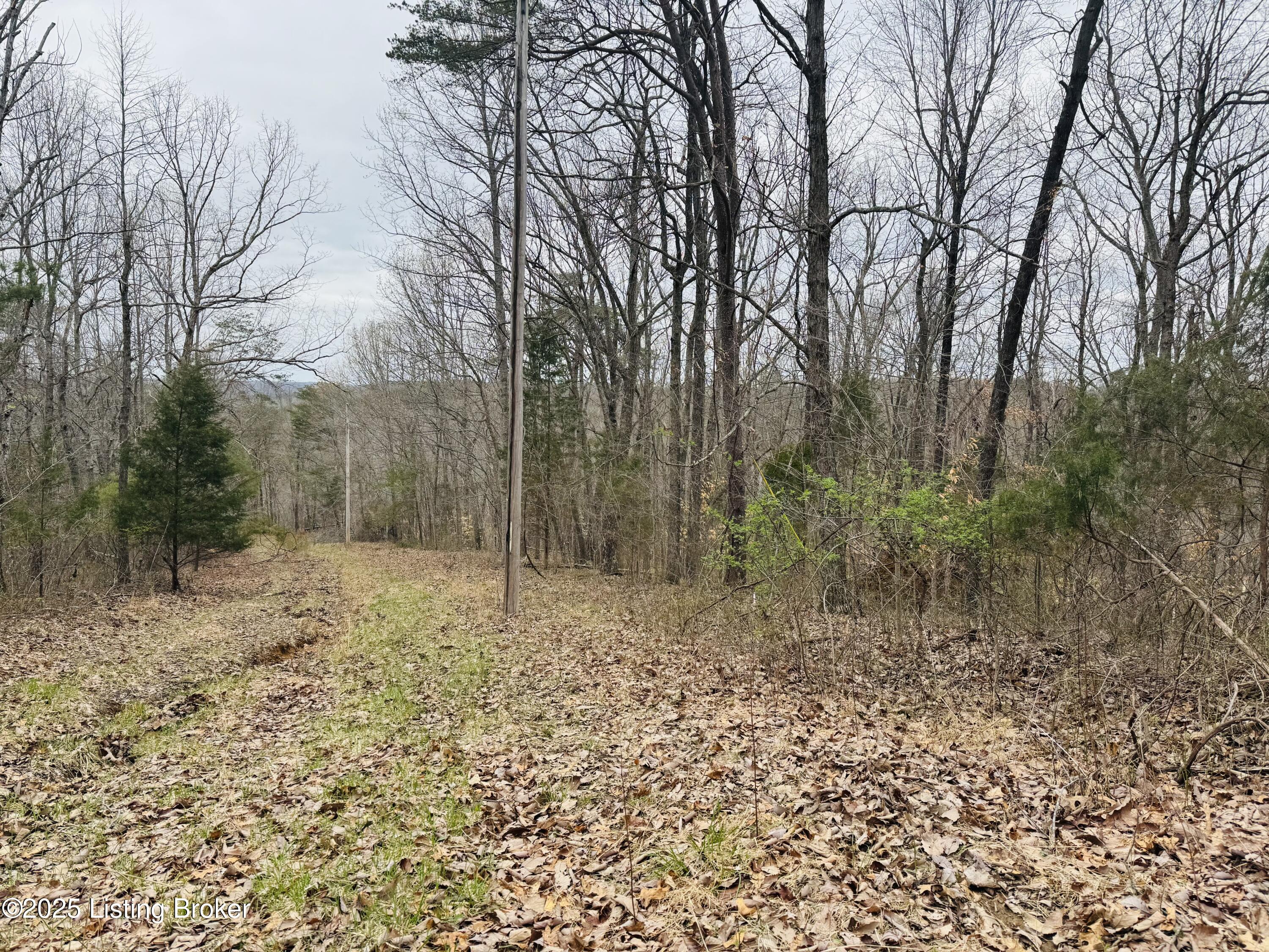 3 Hickory Ln, Mammoth Cave, Kentucky image 27