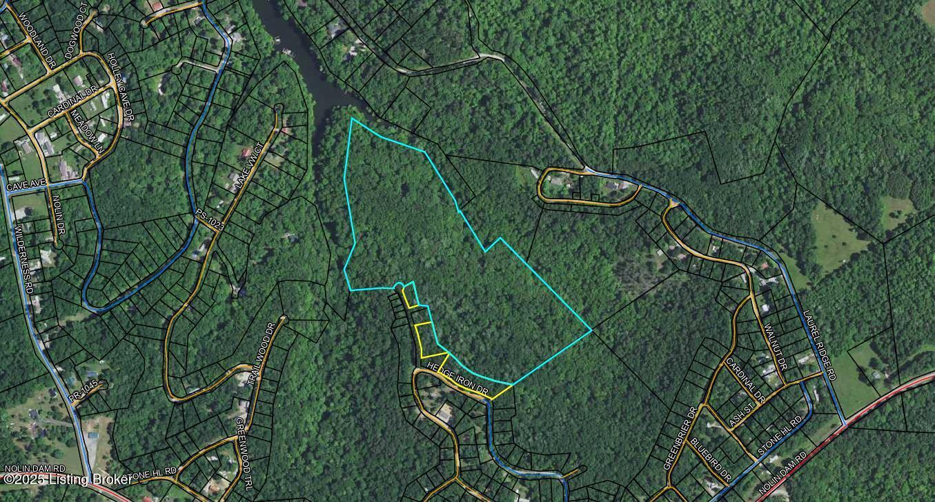 3 Hickory Ln, Mammoth Cave, Kentucky image 1
