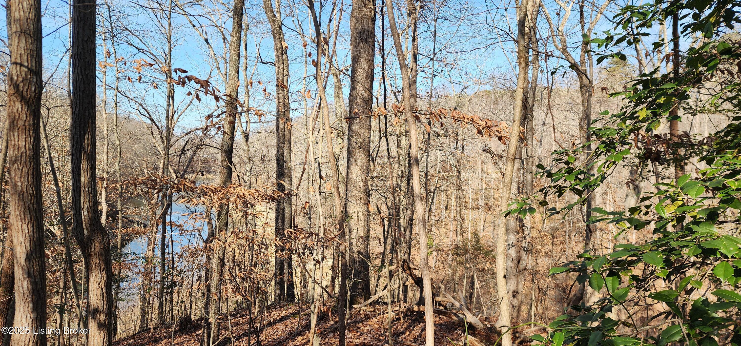3 Hickory Ln, Mammoth Cave, Kentucky image 6
