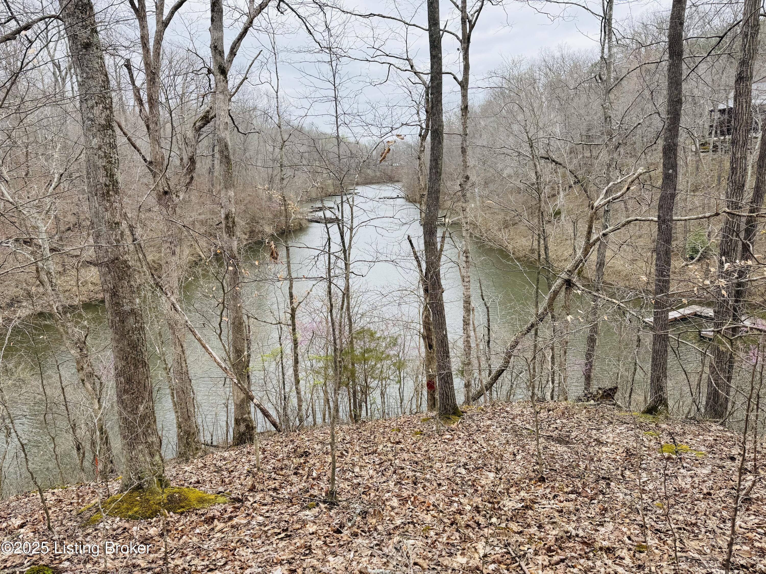 3 Hickory Ln, Mammoth Cave, Kentucky image 2