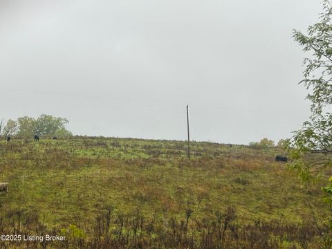 Vacant Land For Sale - TRACT 2&3 Bearwallow Rd<br/> Springfield, KY 40069