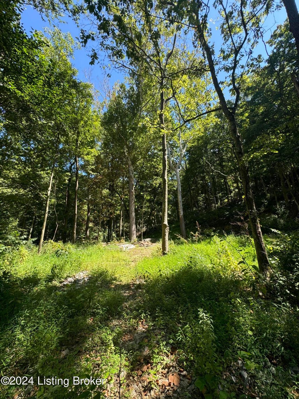 Photo of Lot 13 Rose Island Rd, Goshen, KY 40026 (MLS # 1714426)