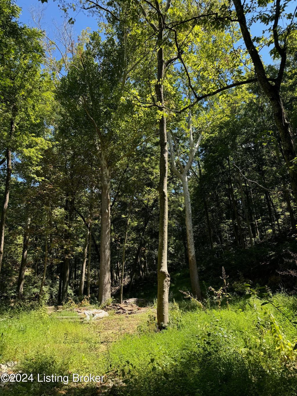 Photo of Lot 13 Rose Island Rd, Goshen, KY 40026 (MLS # 1714426)