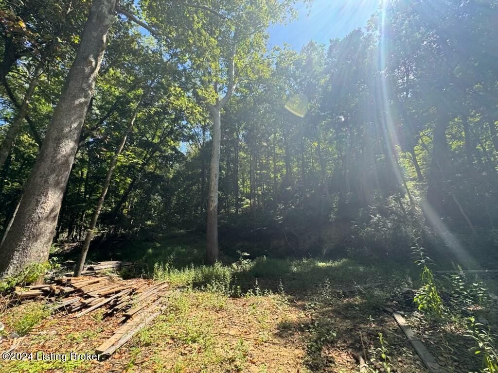 Photo of Lot 13 Rose Island Rd, Goshen, KY 40026 (MLS # 1714426)