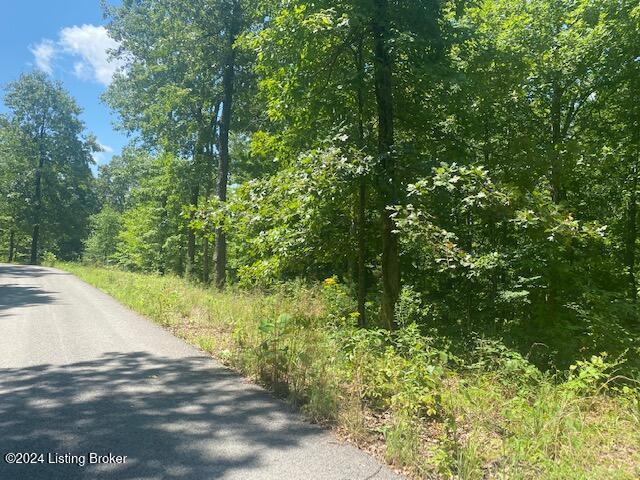 35 Tulip Poplar Ln, Leitchfield, Kentucky image 3