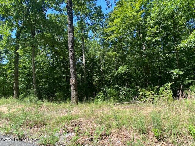 35 Tulip Poplar Ln, Leitchfield, Kentucky image 1