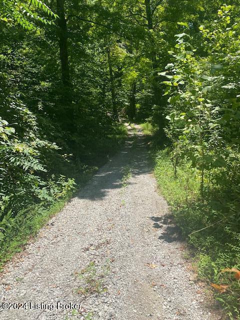 35 Tulip Poplar Ln, Leitchfield, Kentucky image 6