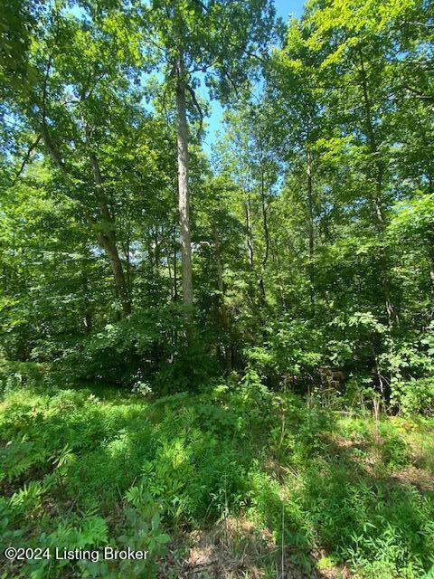 35 Tulip Poplar Ln, Leitchfield, Kentucky image 2