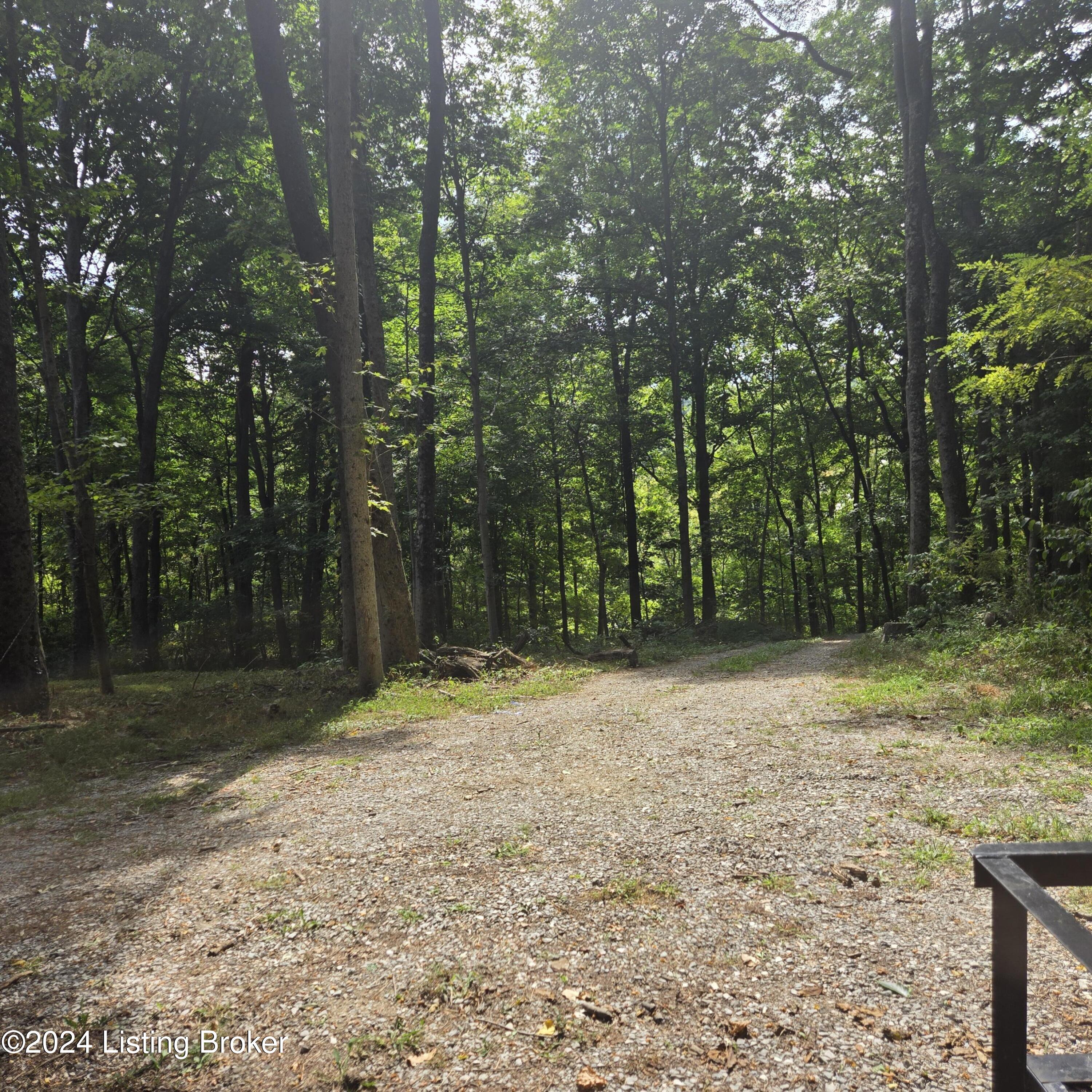 1029 Bucks Run Rd, Ghent, Kentucky image 47