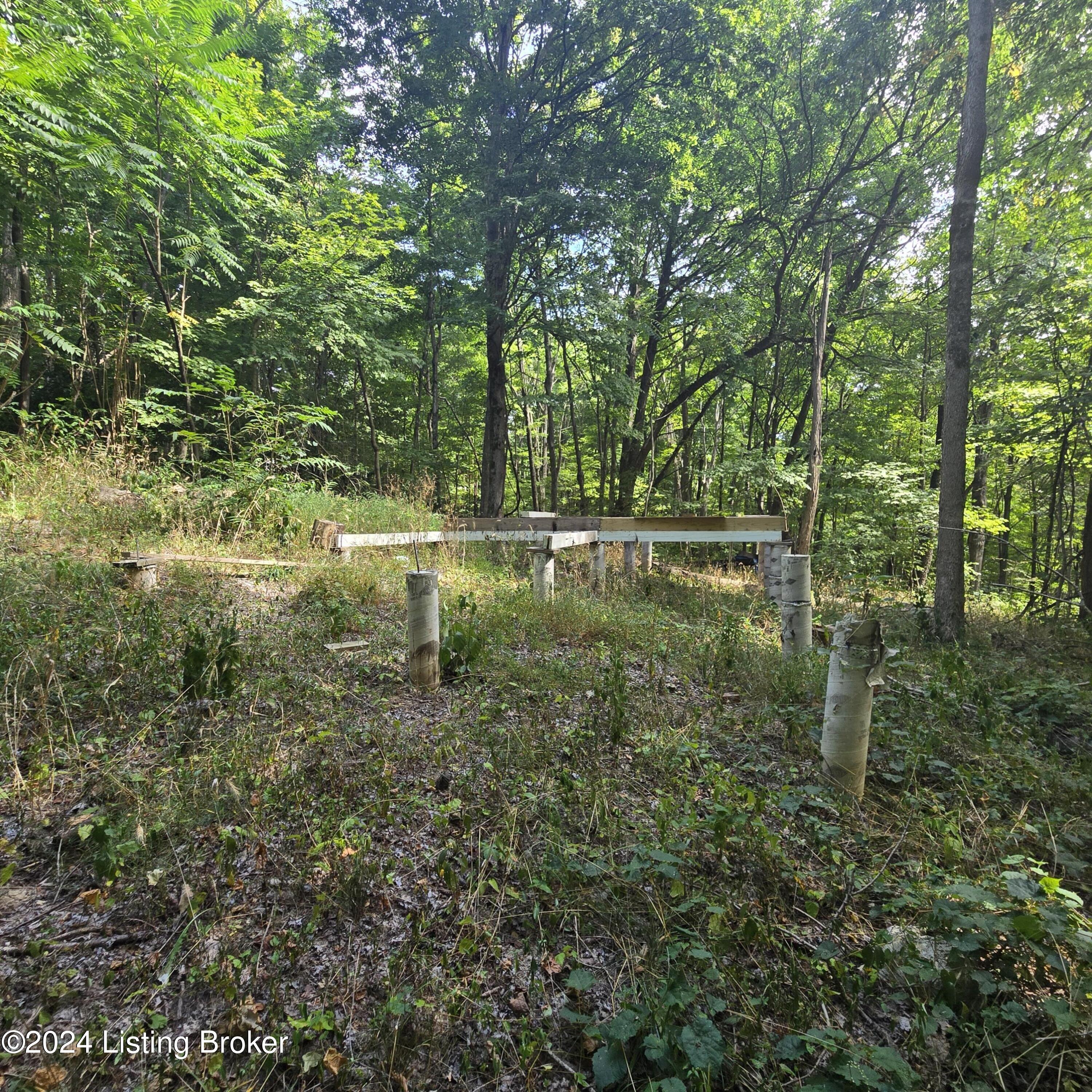 1029 Bucks Run Rd, Ghent, Kentucky image 37