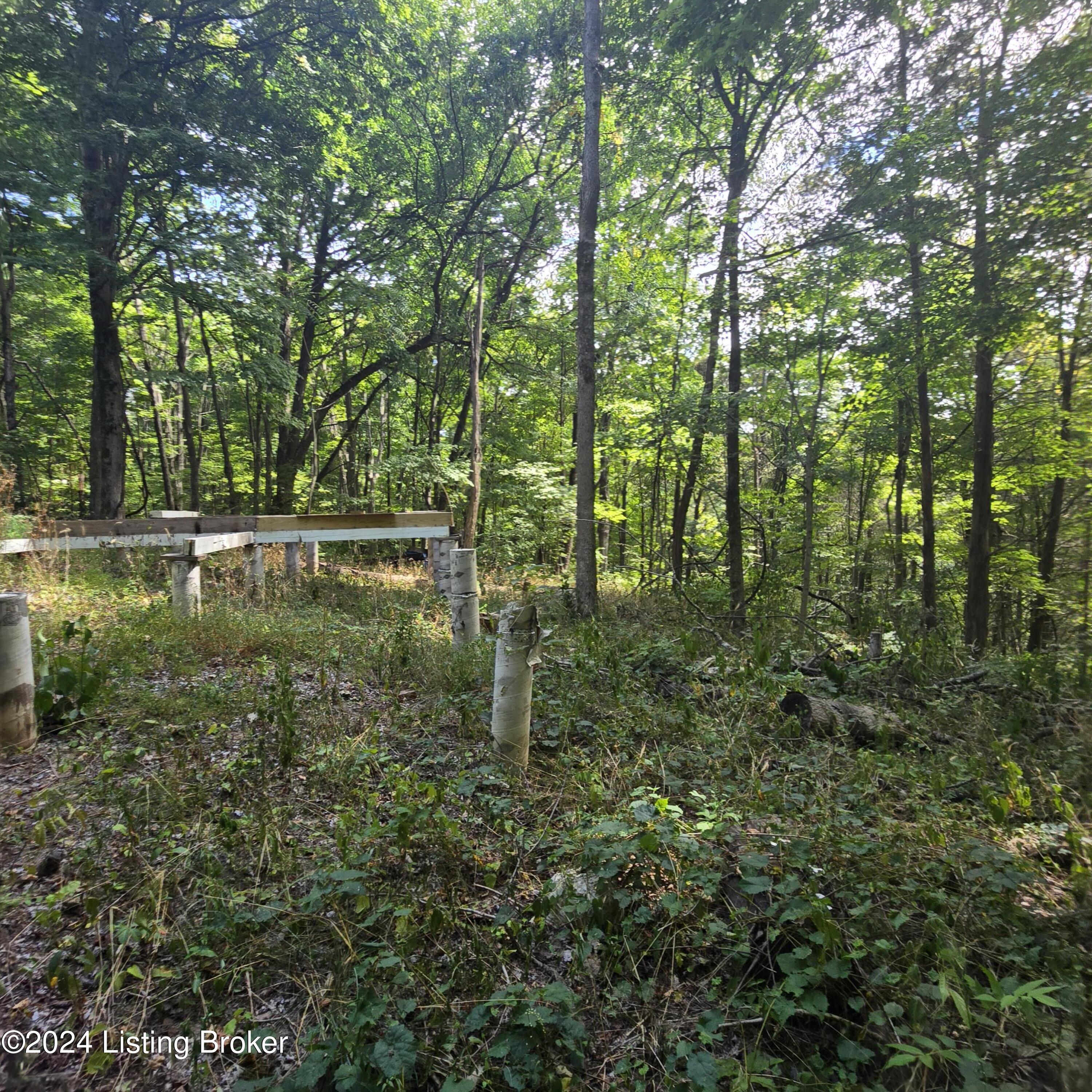 1029 Bucks Run Rd, Ghent, Kentucky image 38