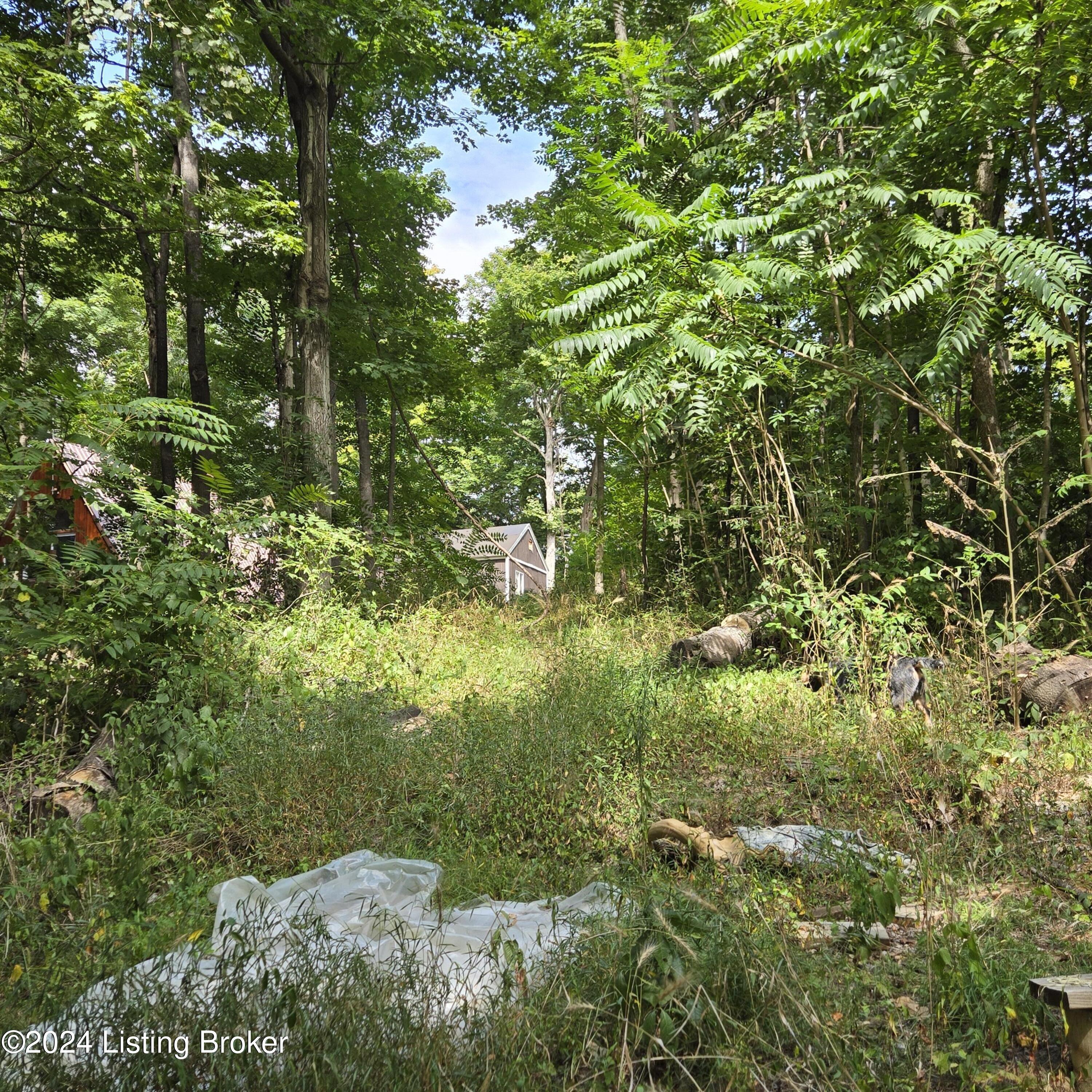 1029 Bucks Run Rd, Ghent, Kentucky image 42