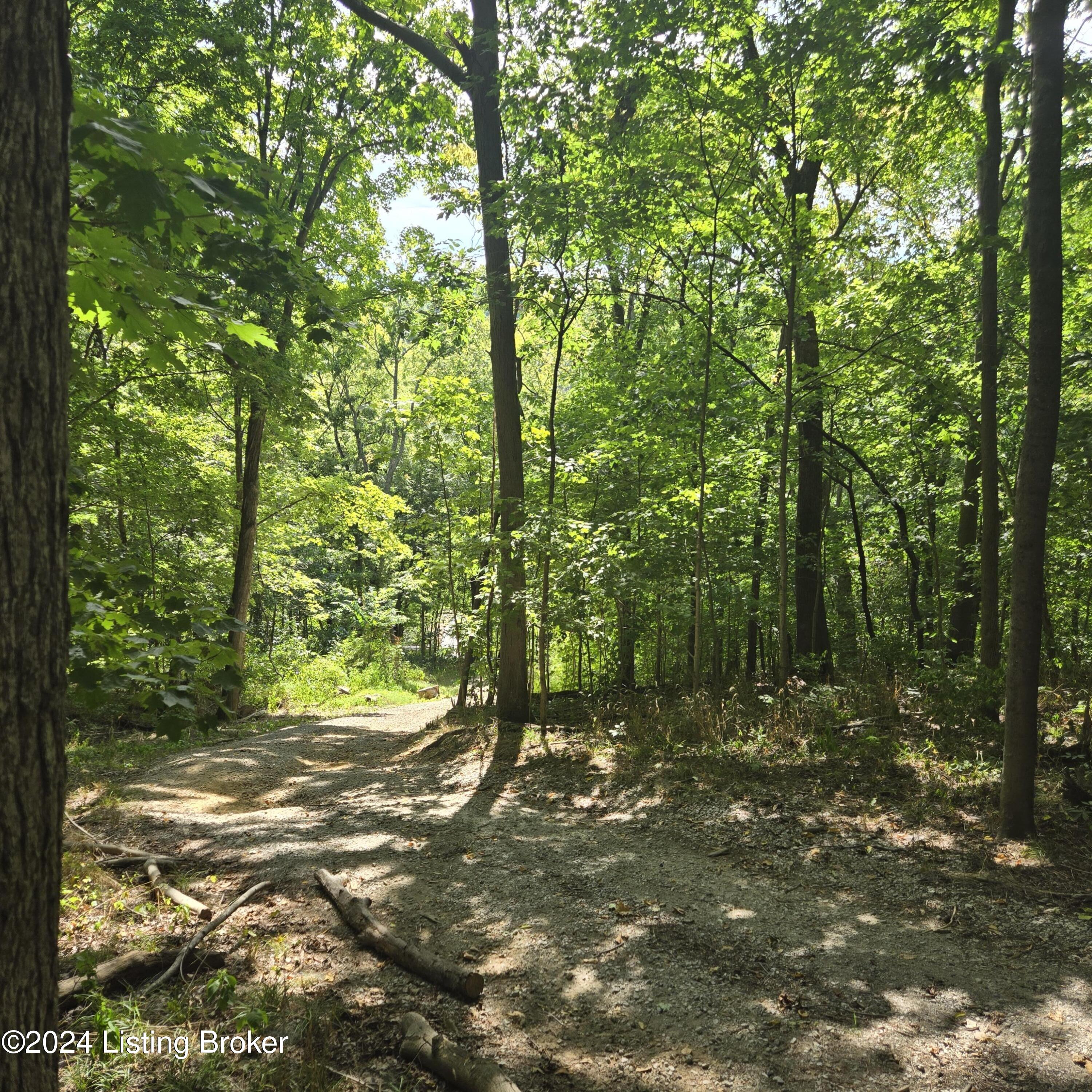 1029 Bucks Run Rd, Ghent, Kentucky image 48