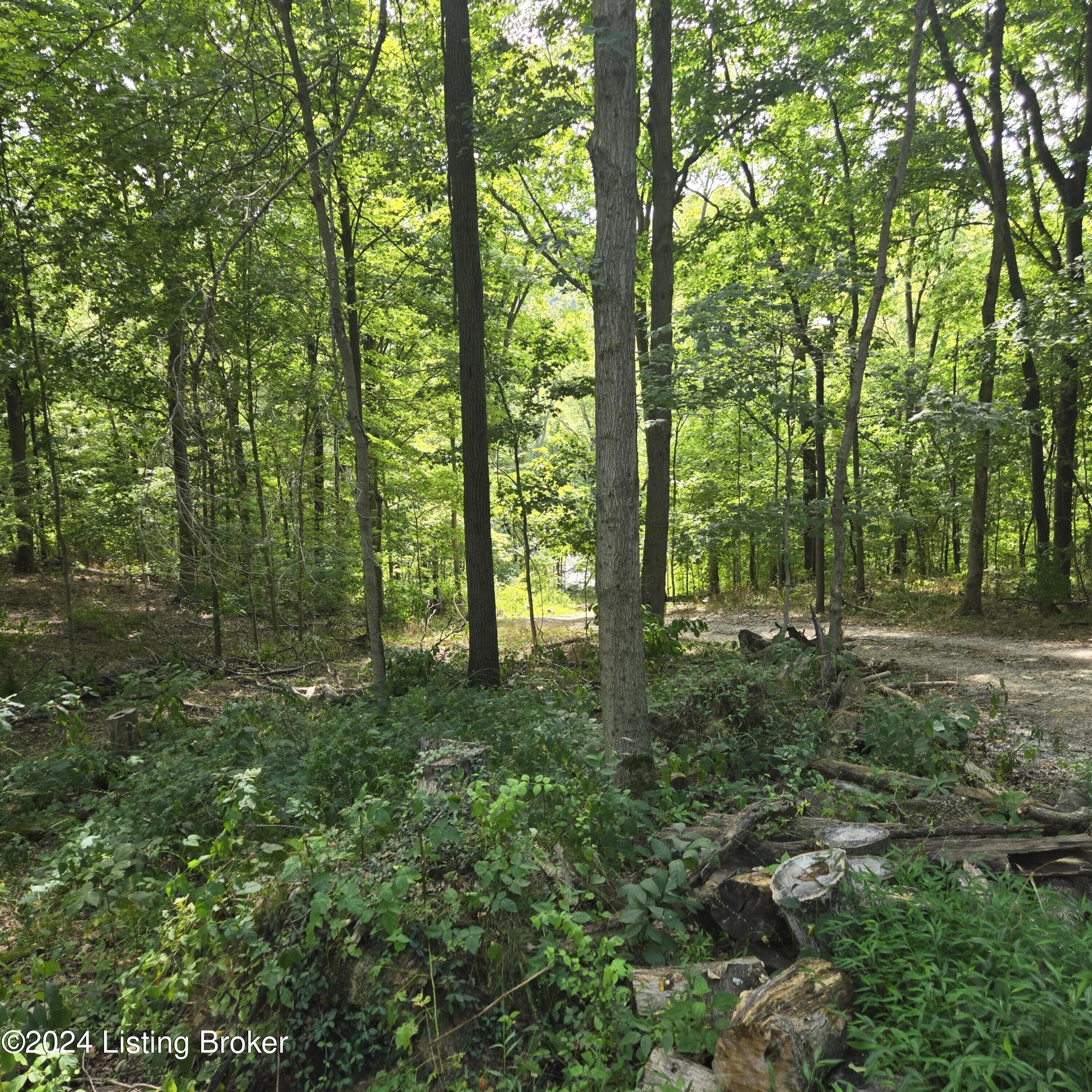 1029 Bucks Run Rd, Ghent, Kentucky image 49