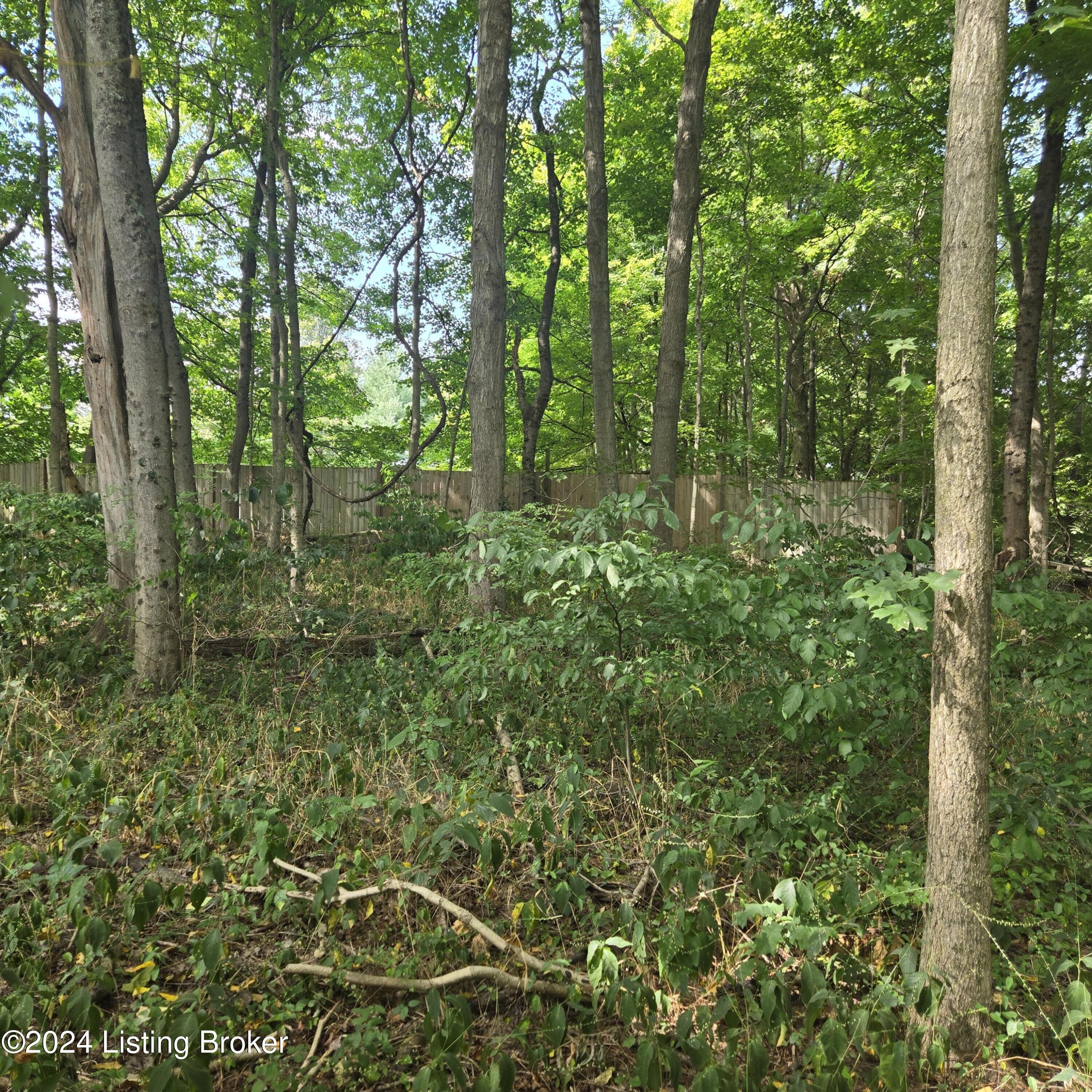 1029 Bucks Run Rd, Ghent, Kentucky image 44
