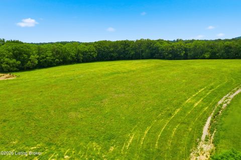 Vacant Land For Sale - TRACT 40A Boots Ct<br/> Shelby County, Shelbyville, KY 40065
