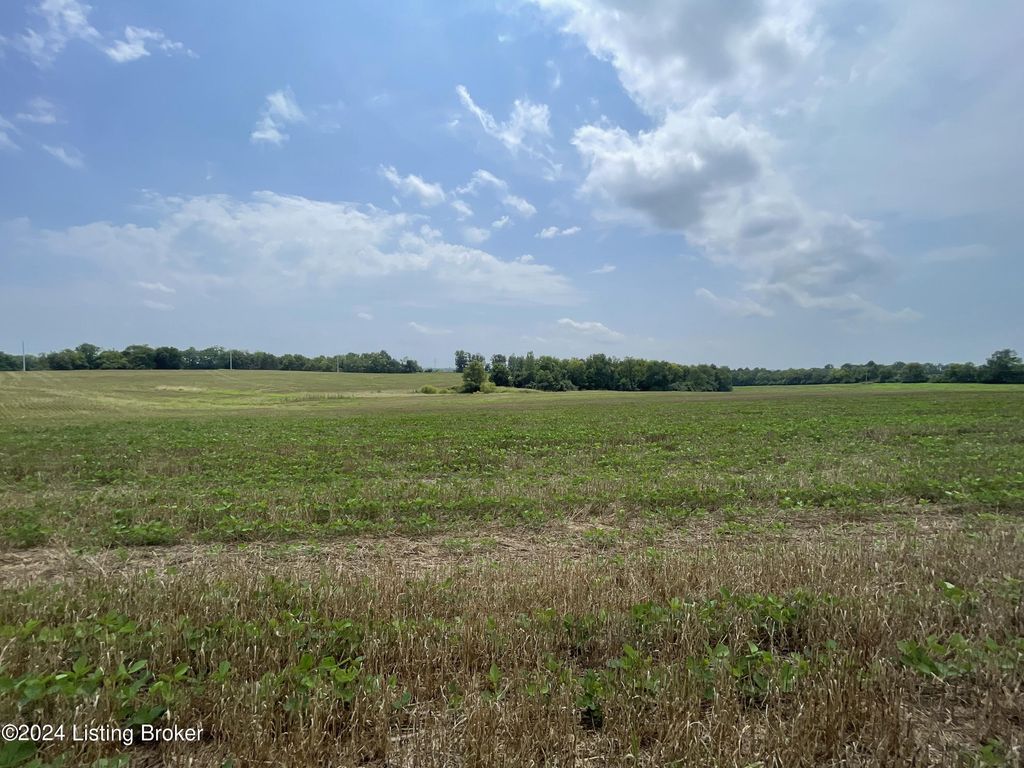 Photo of 738 Logan Station Rd, Shelbyville, KY 40065 (MLS # 1671891)