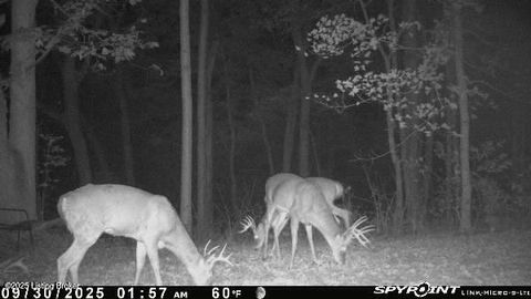 Vacant Land For Sale - 3224-1 Goose Creek Rd<br/> Sanders, KY 41083