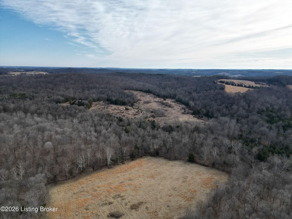 Photo of 0 Green Decker Rd, Caneyville, KY 42721 (MLS # 1709767)