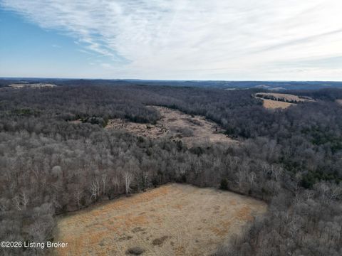 Vacant Land For Sale - Green Decker Rd<br/> Grayson County, Caneyville, KY 42721