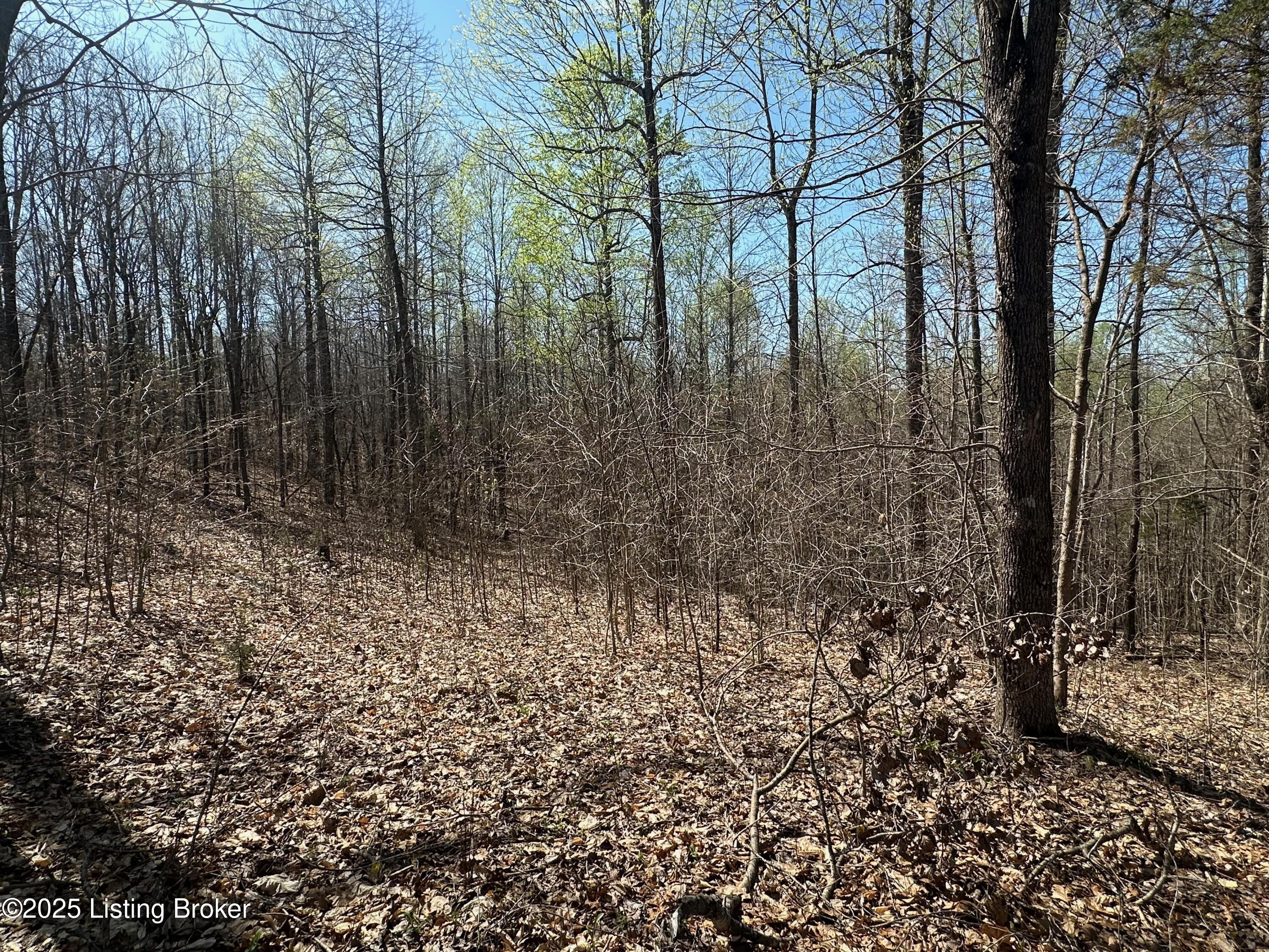 647 Pickerell Rd, Buffalo, Kentucky image 7