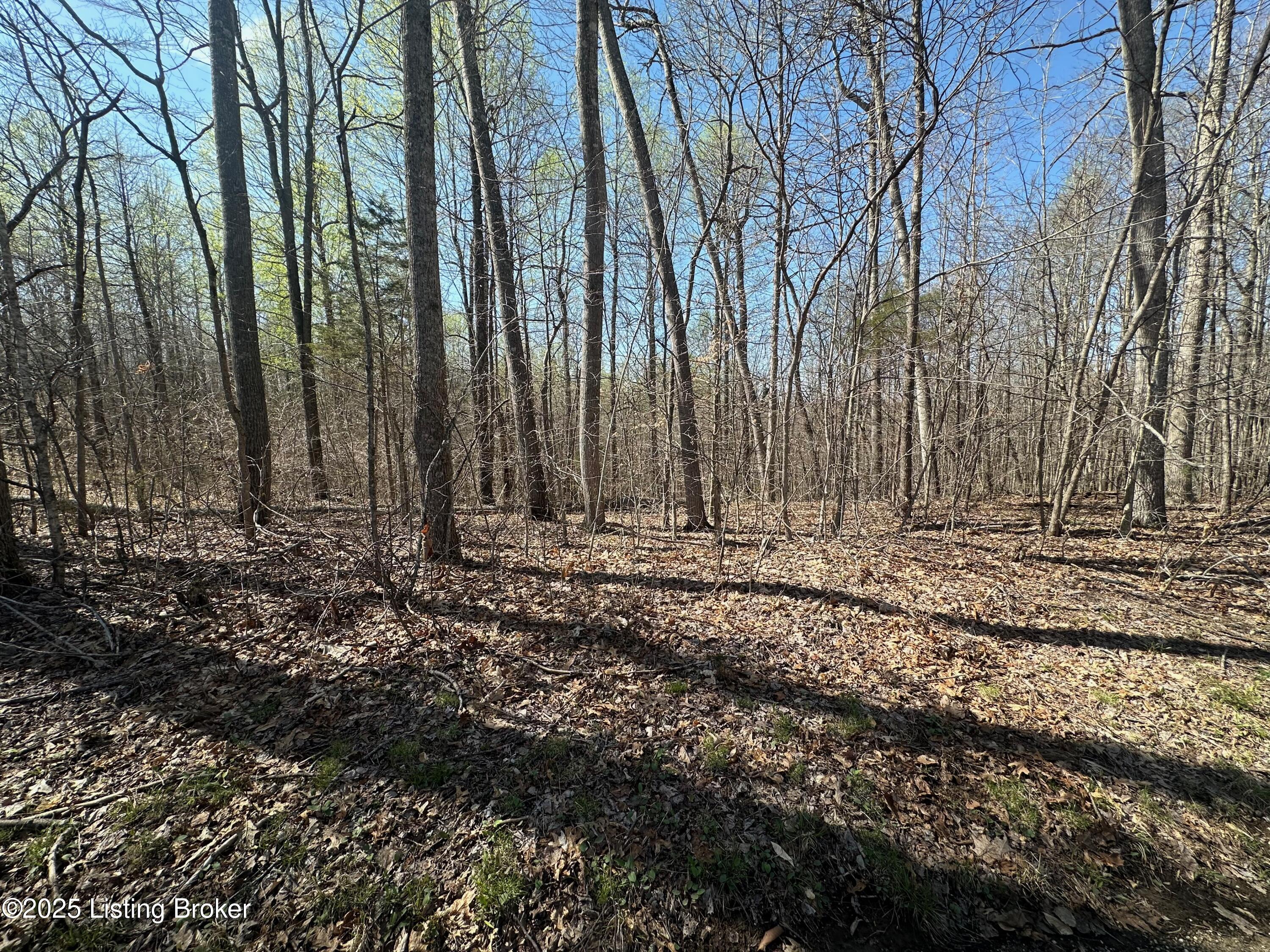647 Pickerell Rd, Buffalo, Kentucky image 3