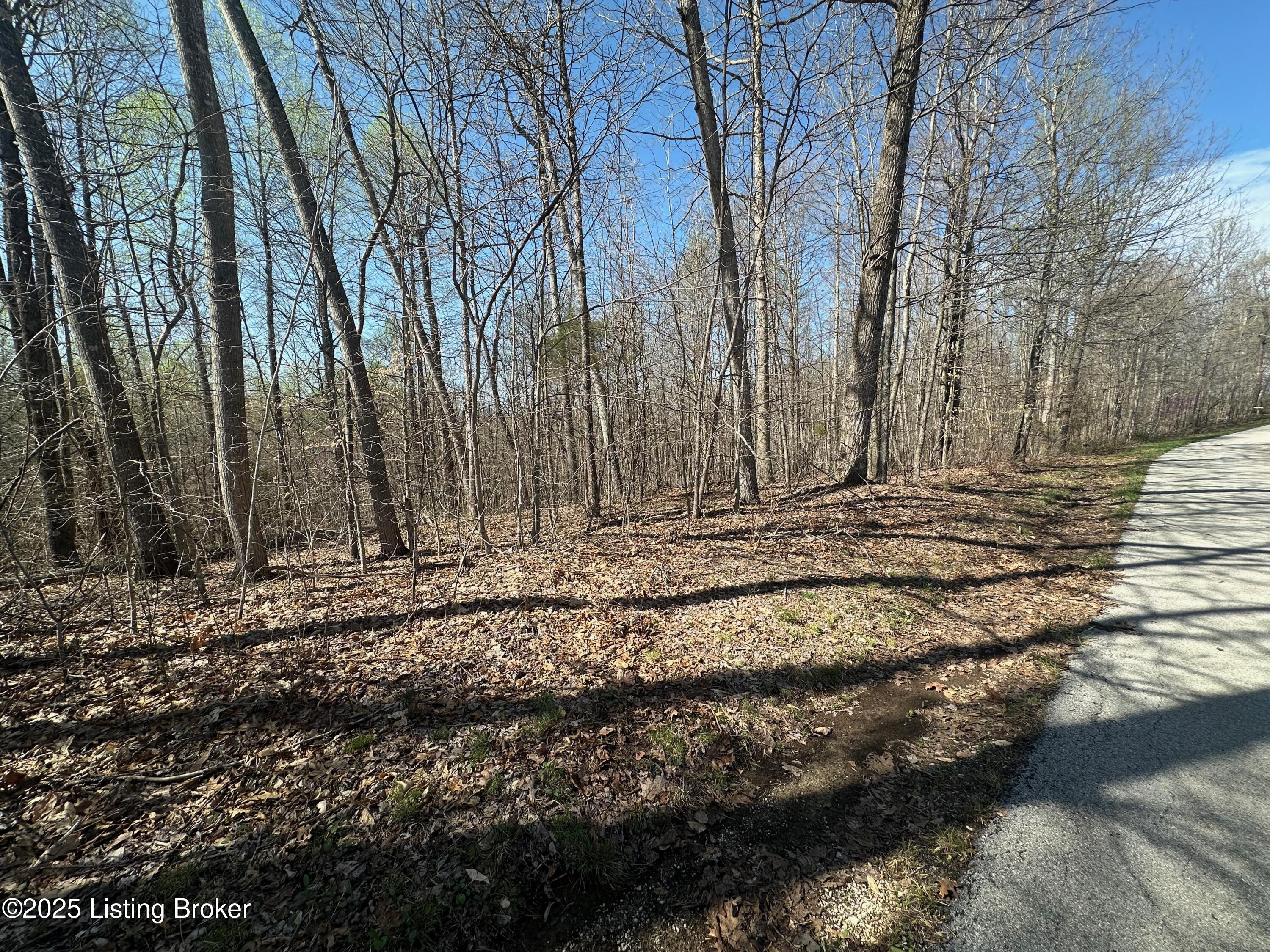 647 Pickerell Rd, Buffalo, Kentucky image 2
