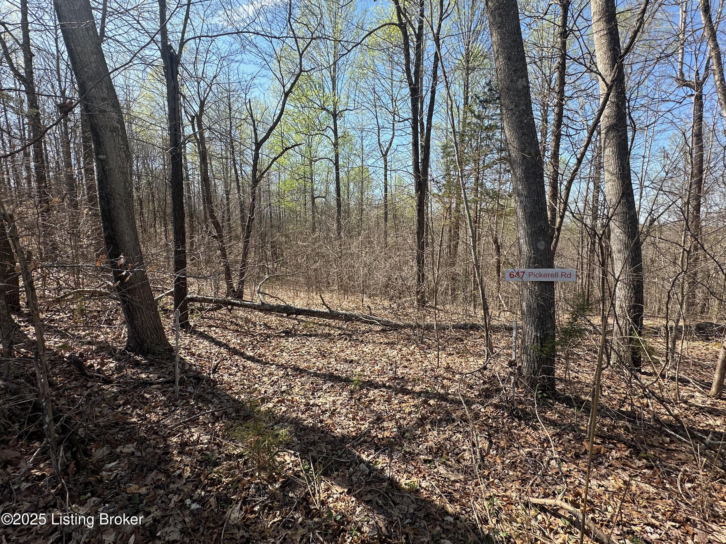 647 Pickerell Rd, Buffalo, Kentucky image 4