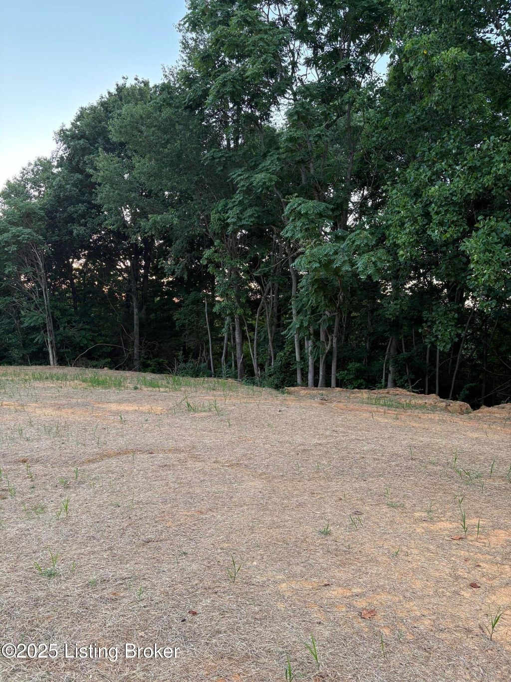 Photo of Lot 10 Mt. Eden Rd, Shepherdsville, KY 40165 (MLS # 1705829)