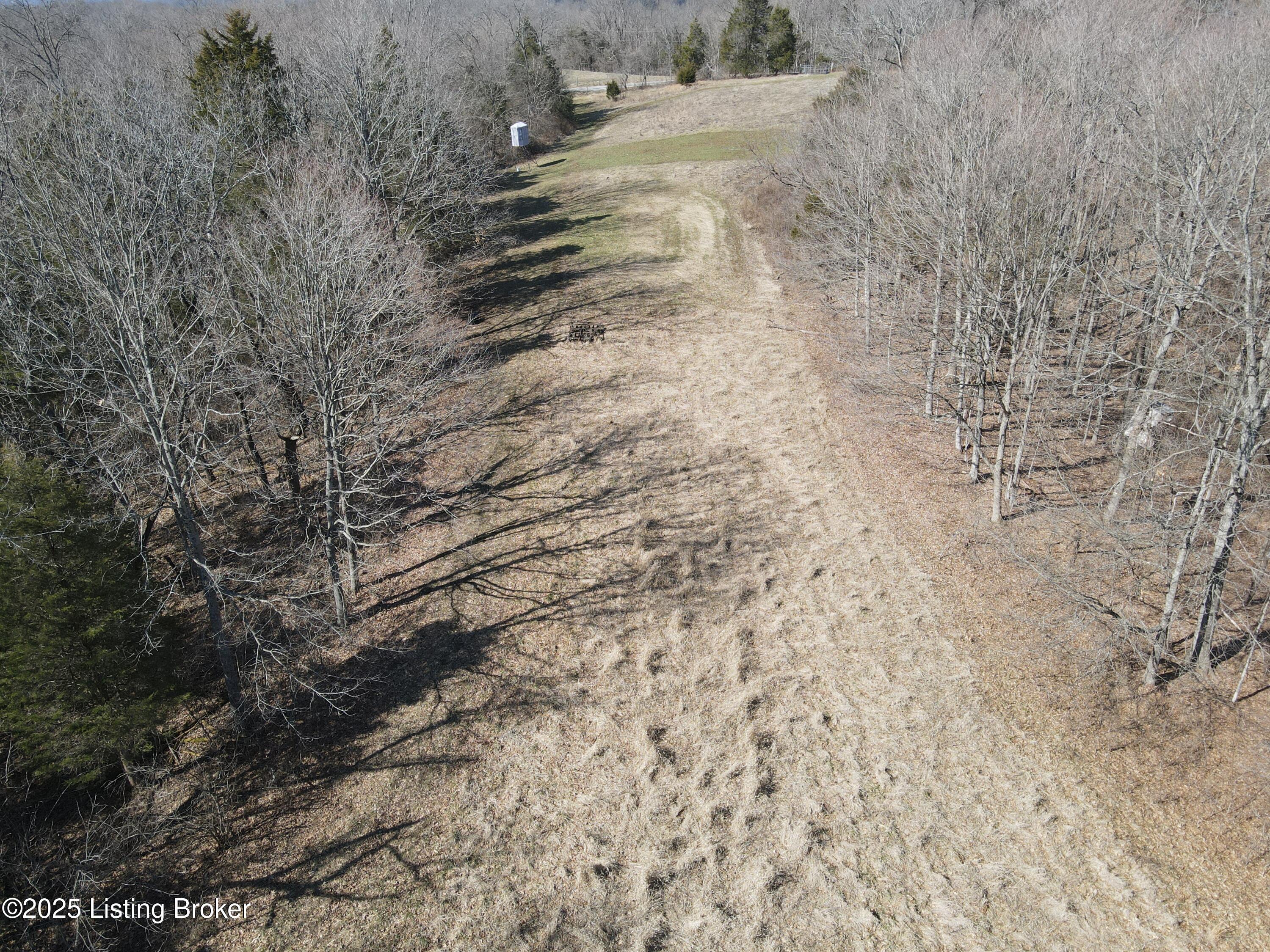 3224 Goose Creek Rd, Sanders, Kentucky image 26