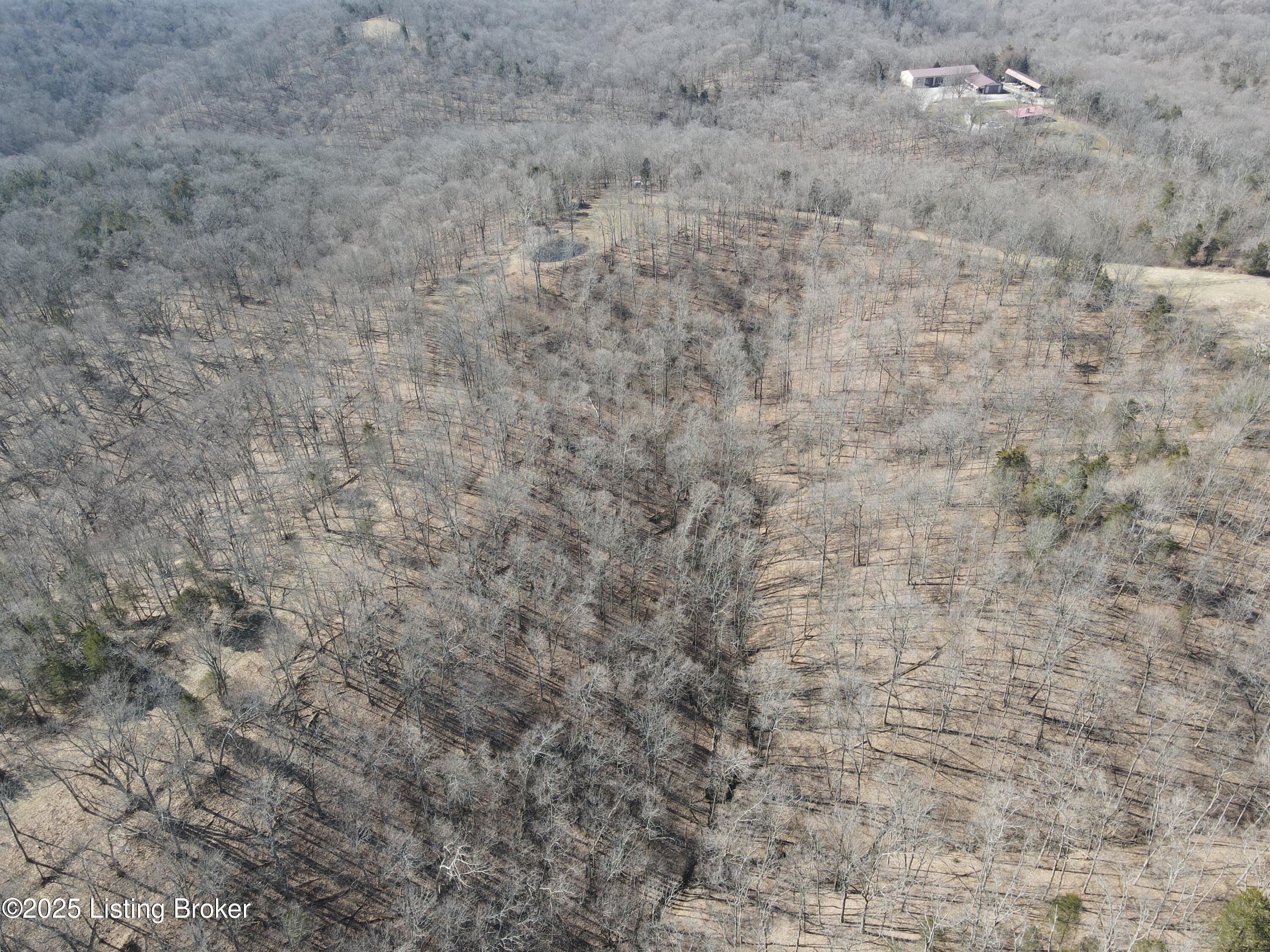 3224 Goose Creek Rd, Sanders, Kentucky image 18