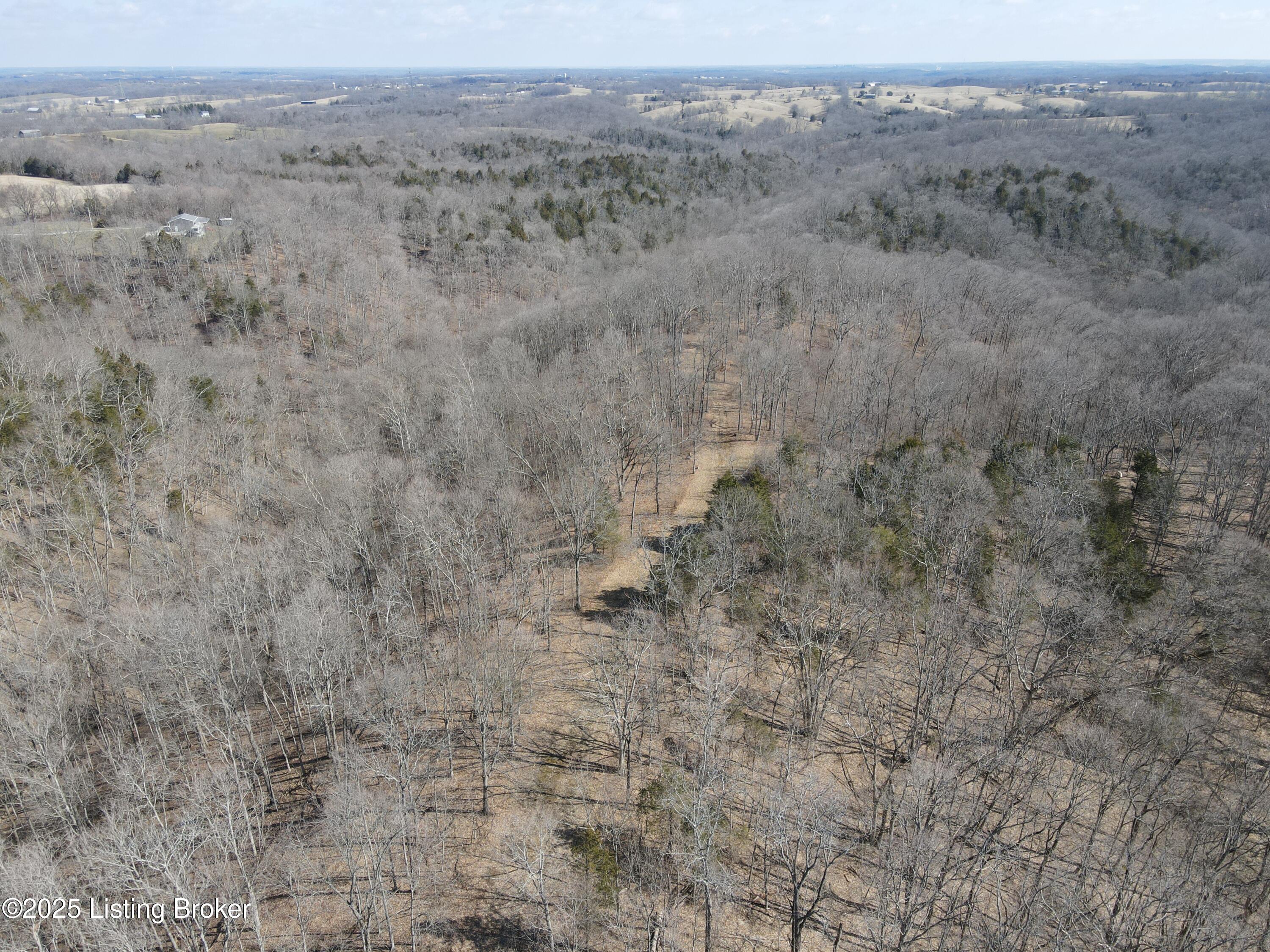 3224 Goose Creek Rd, Sanders, Kentucky image 28