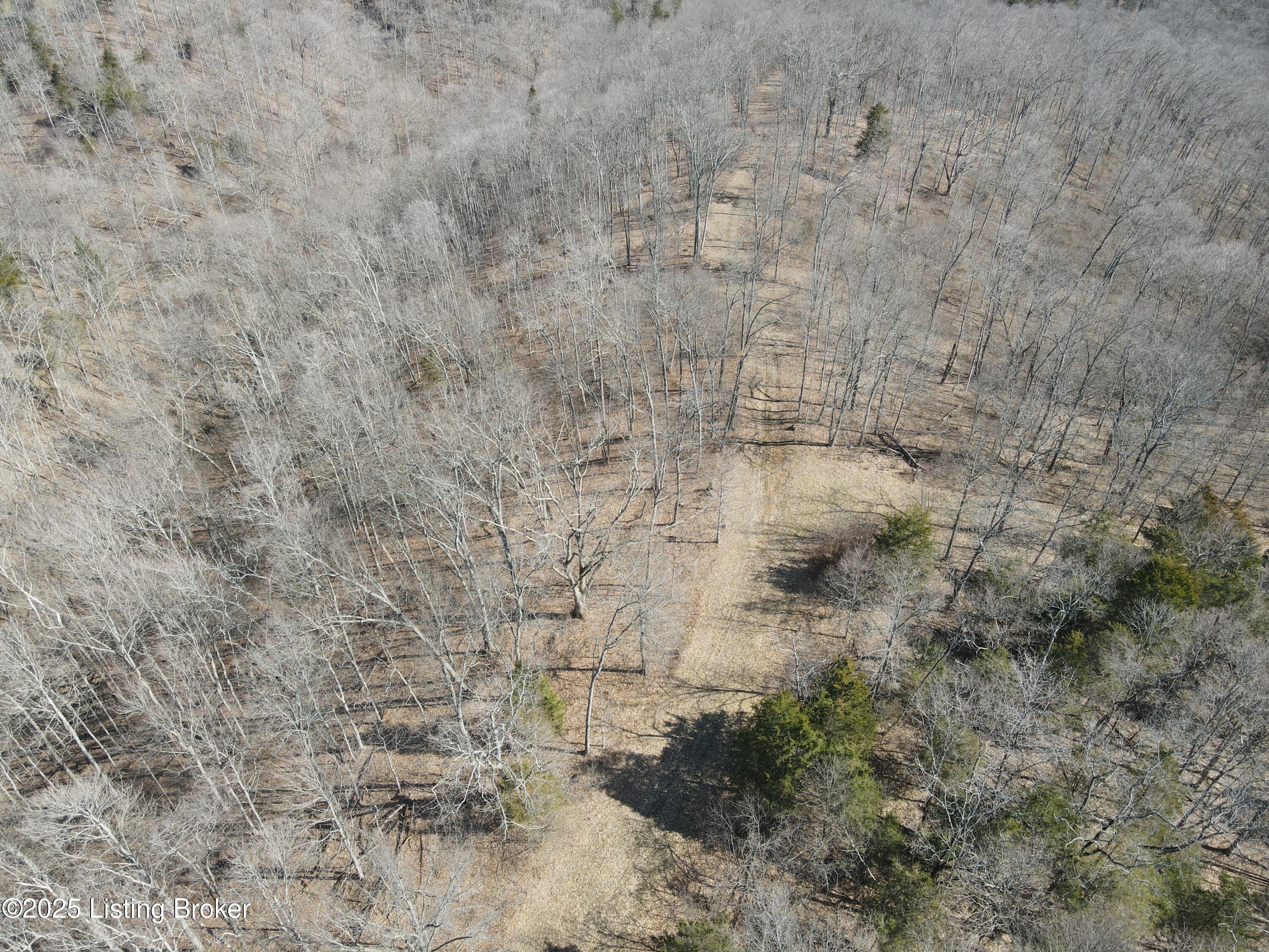 3224 Goose Creek Rd, Sanders, Kentucky image 13