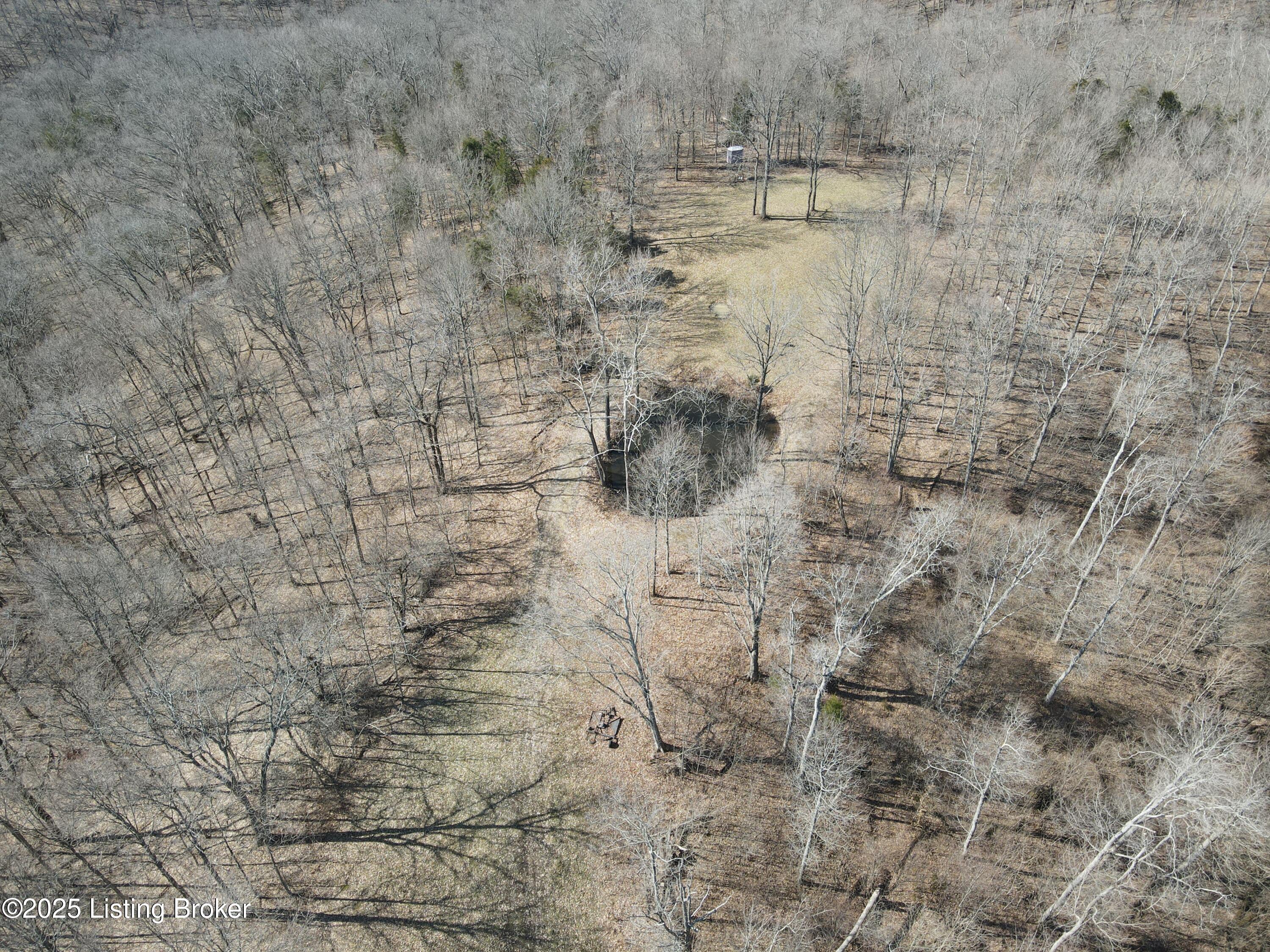 3224 Goose Creek Rd, Sanders, Kentucky image 9