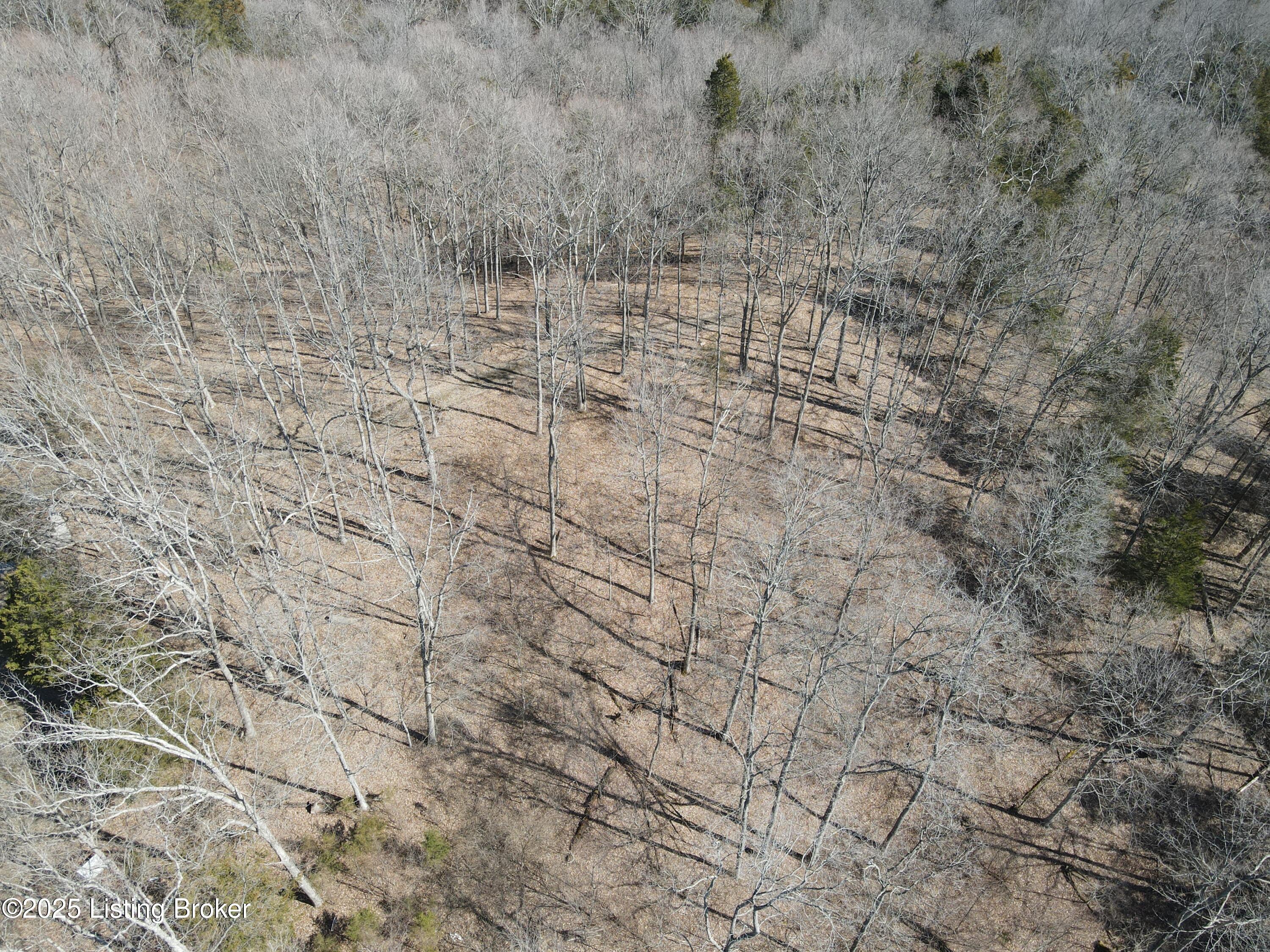 3224 Goose Creek Rd, Sanders, Kentucky image 15