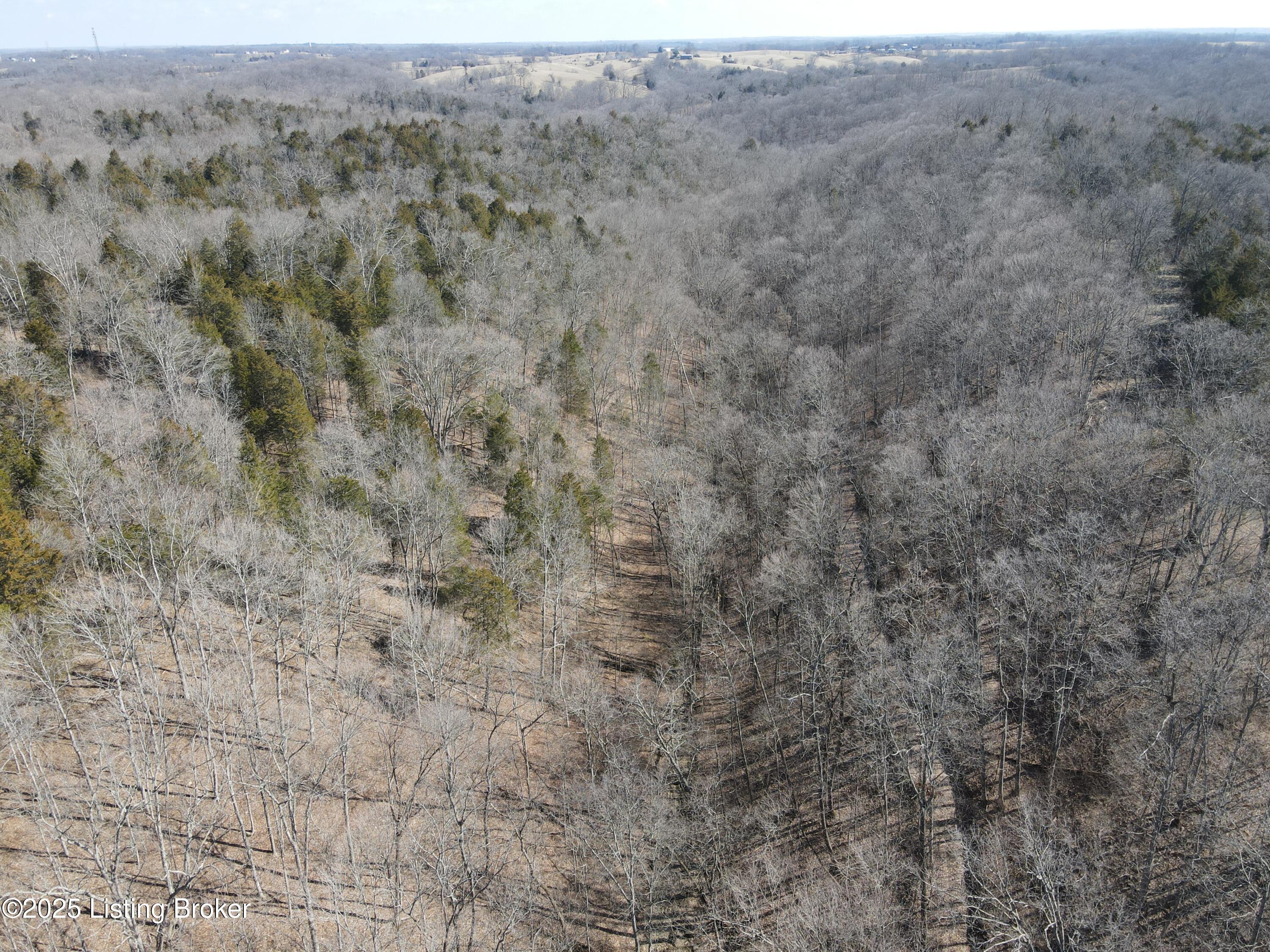 3224 Goose Creek Rd, Sanders, Kentucky image 14