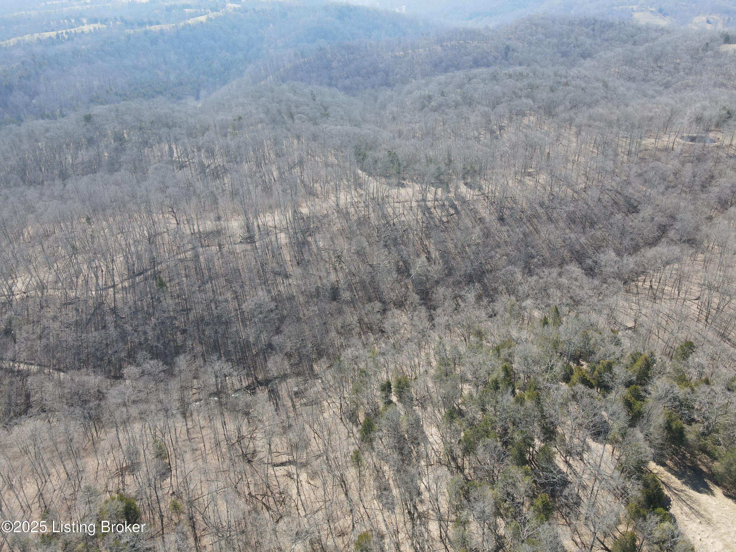 3224 Goose Creek Rd, Sanders, Kentucky image 19