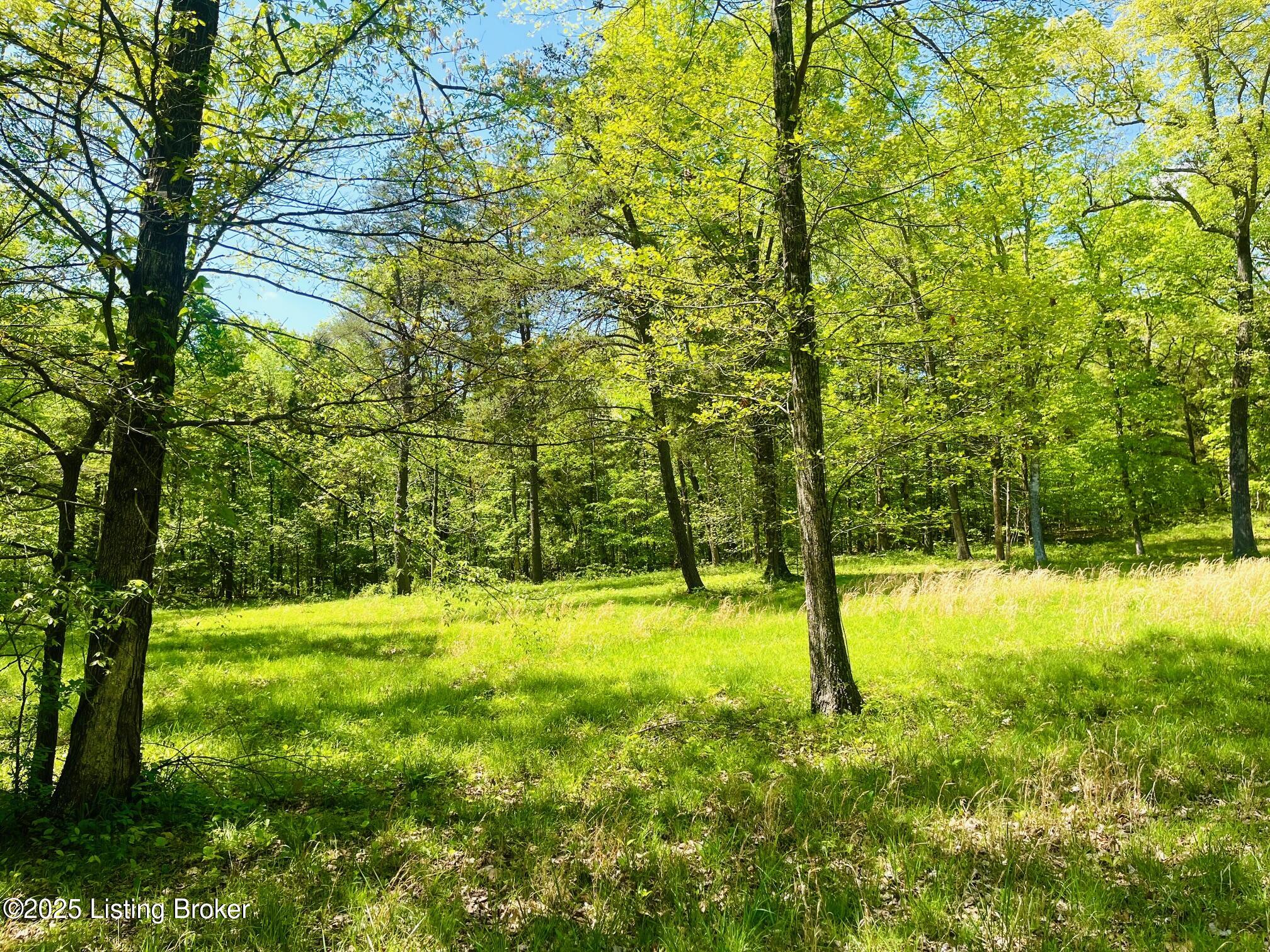 1179 Patriots Landing Ln, Falls Of Rough, Kentucky image 4