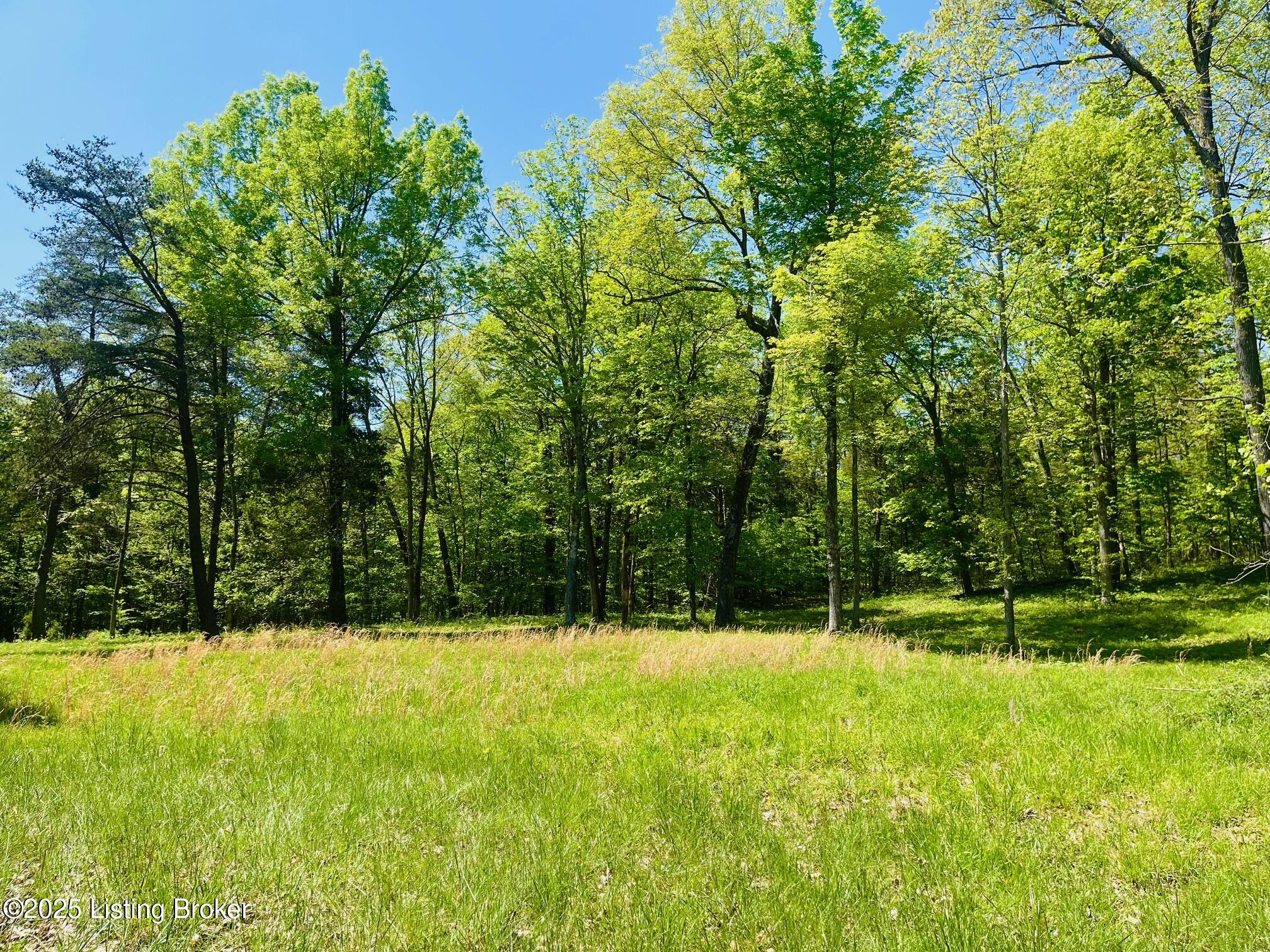 1179 Patriots Landing Ln, Falls Of Rough, Kentucky image 1