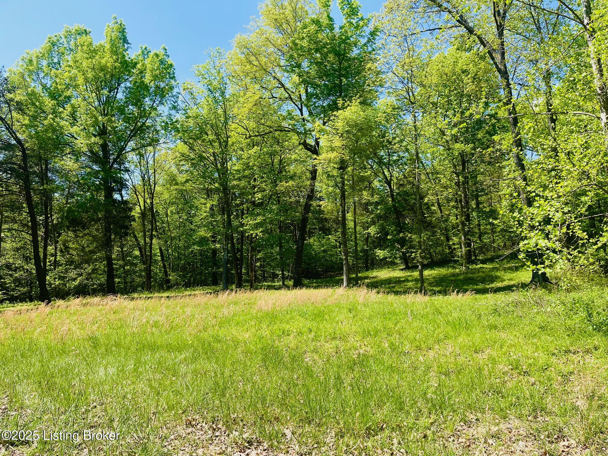 1179 Patriots Landing Ln, Falls Of Rough, Kentucky image 3