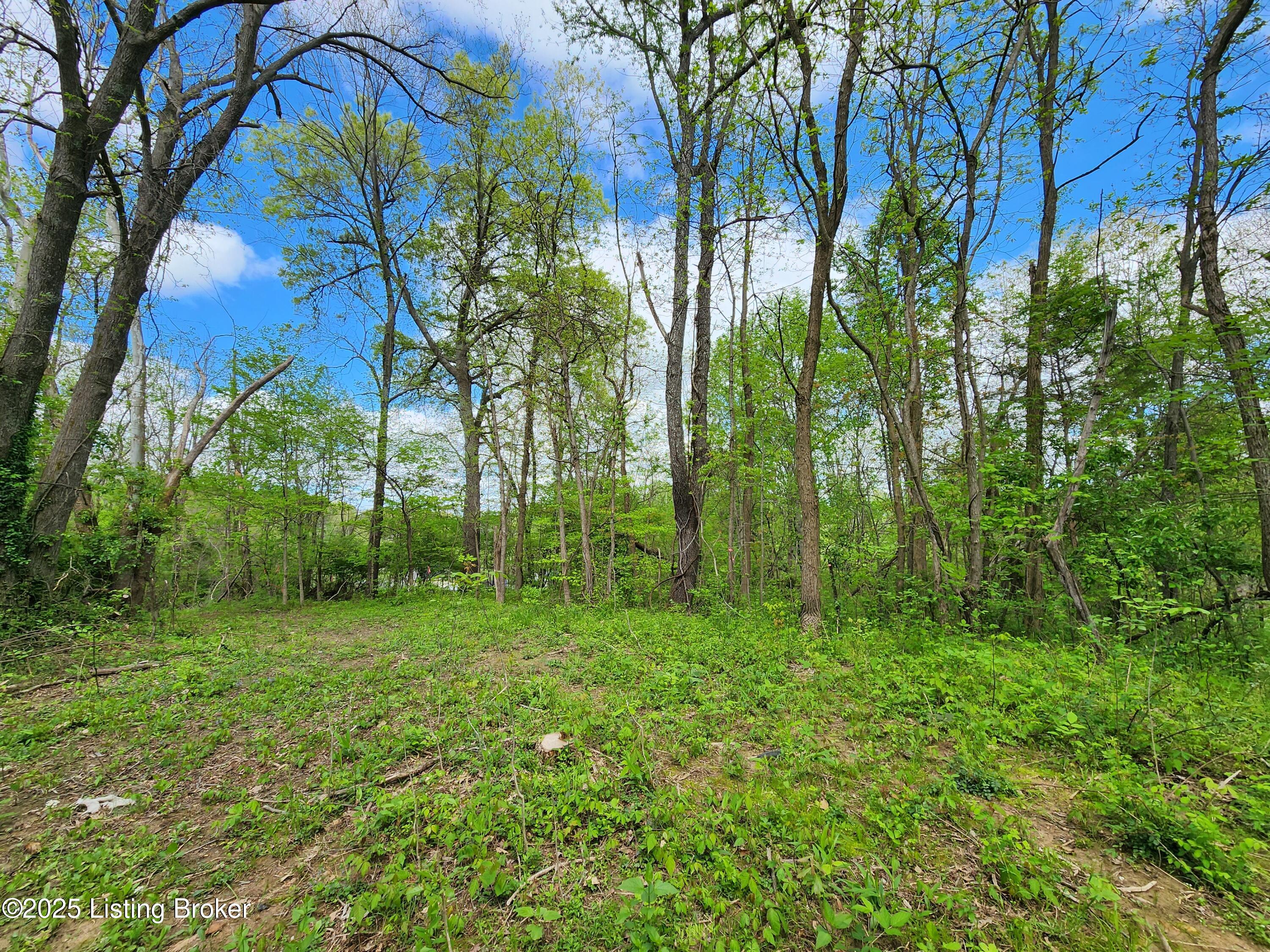 0000 Rineyville Big Springs Rd, Rineyville, Kentucky image 6