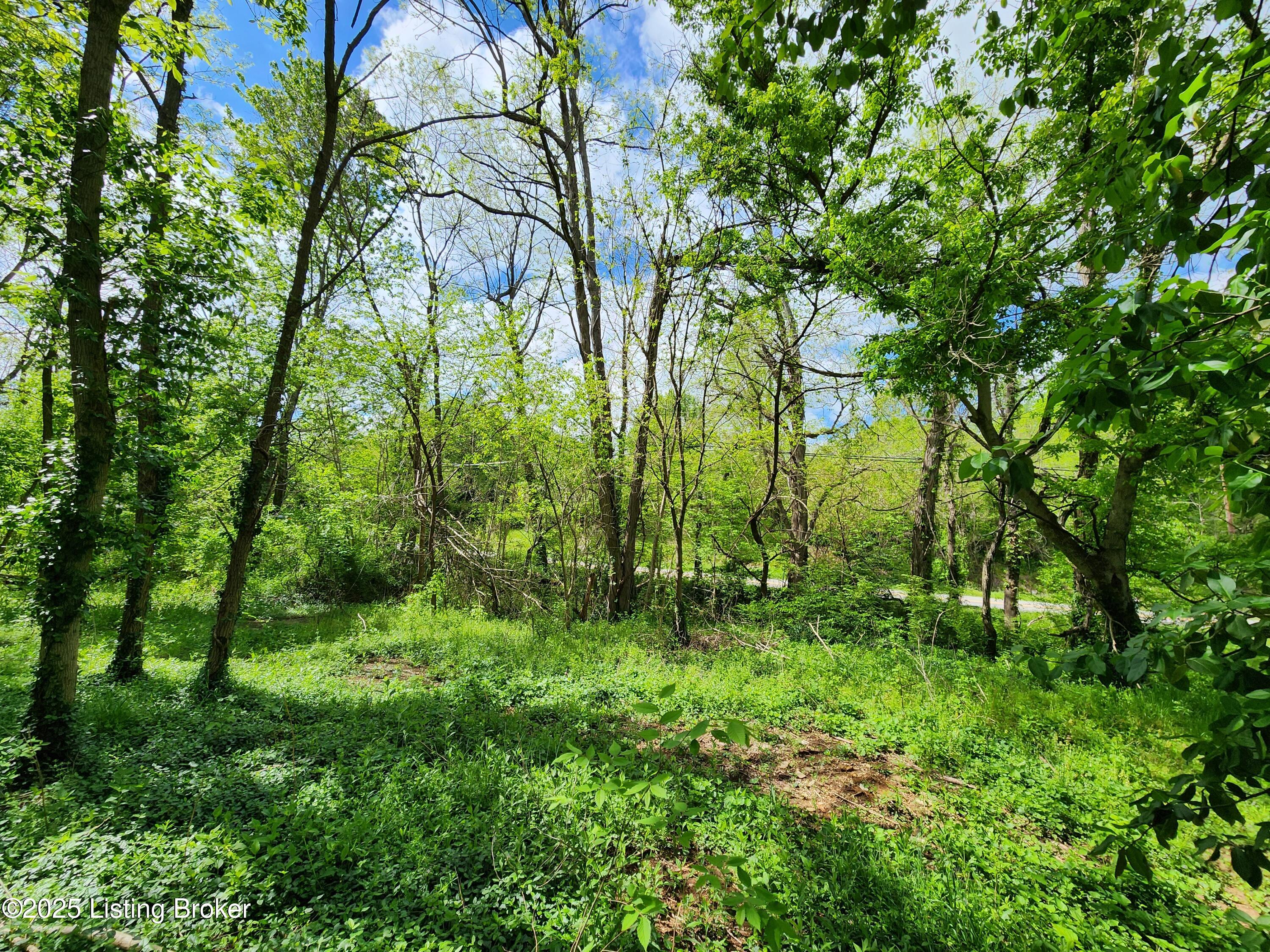 0000 Rineyville Big Springs Rd, Rineyville, Kentucky image 9