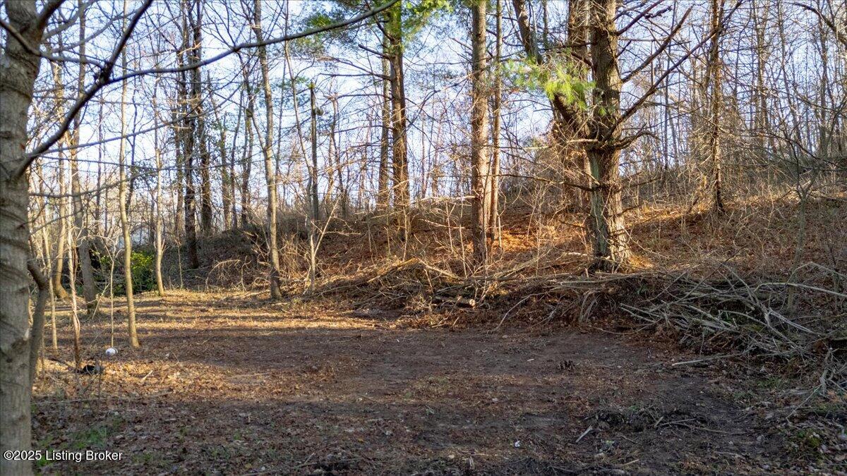 0000 Rineyville Big Springs Rd, Rineyville, Kentucky image 5