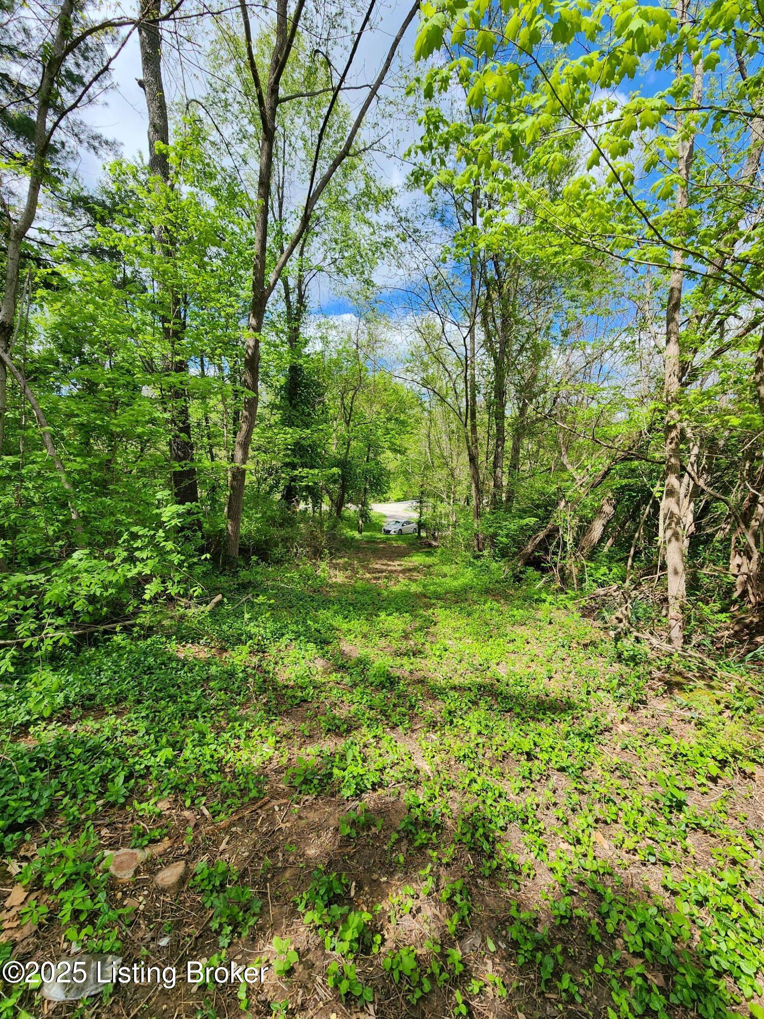 0000 Rineyville Big Springs Rd, Rineyville, Kentucky image 10