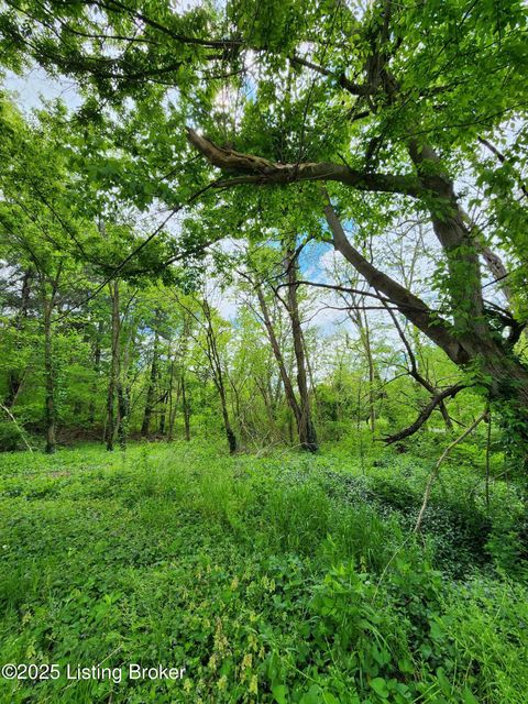Vacant Land For Sale - 0000 Rineyville Big Springs Rd<br/> Rineyville, KY 40162