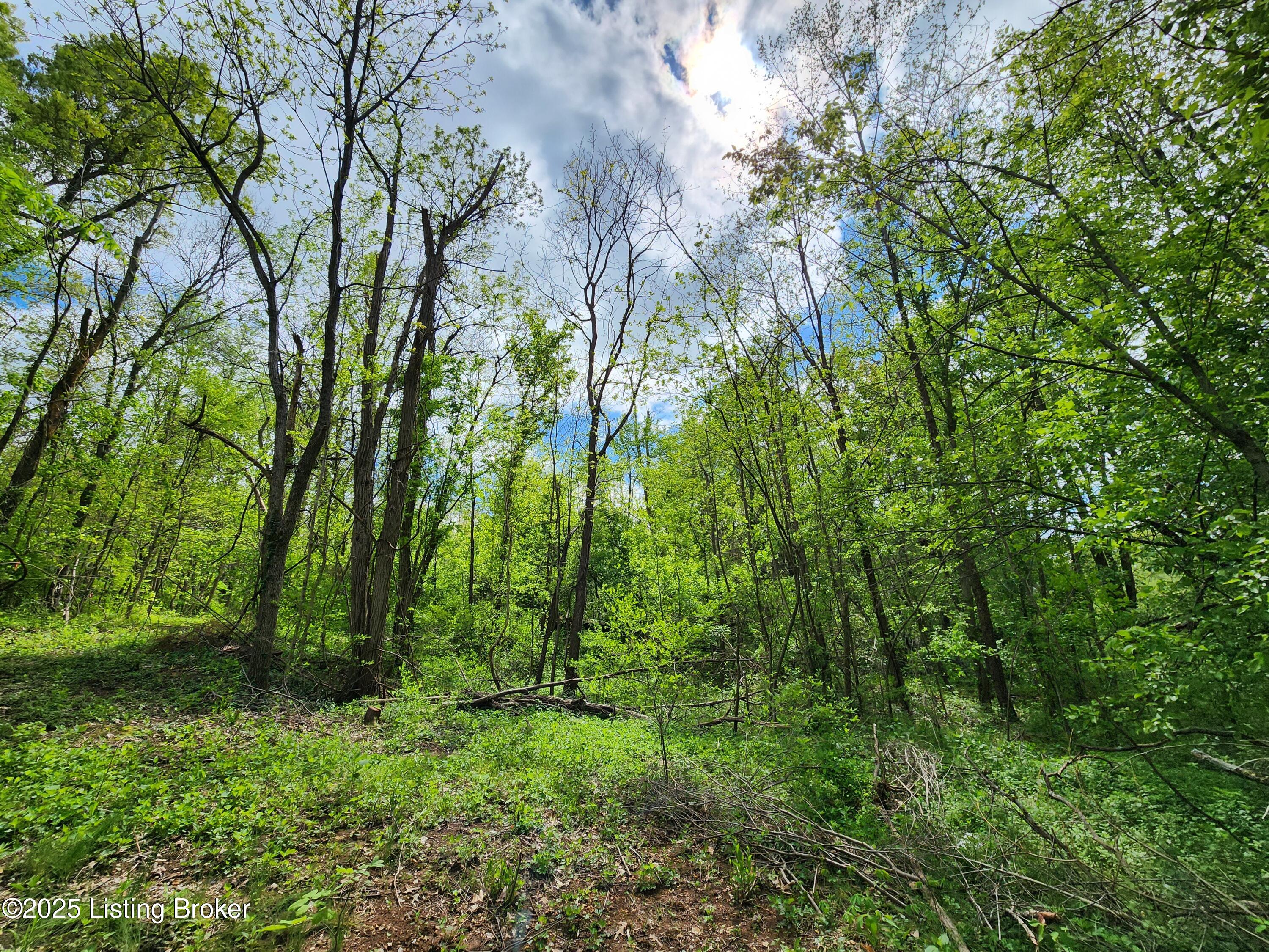 0000 Rineyville Big Springs Rd, Rineyville, Kentucky image 5