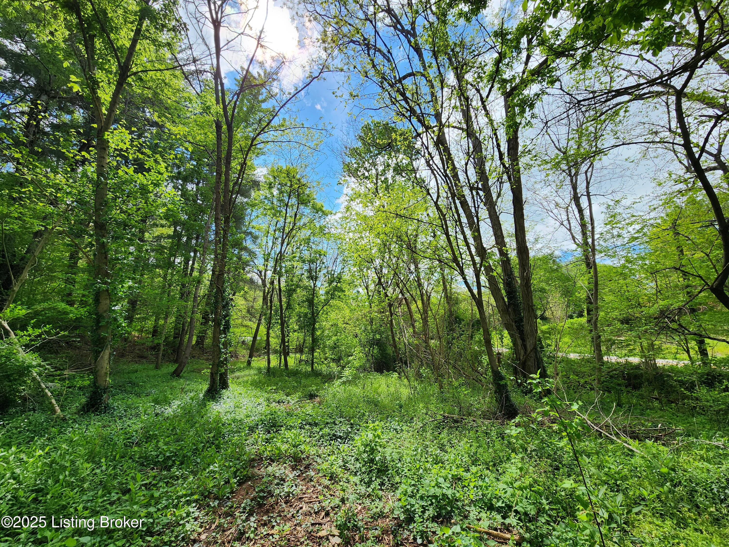 0000 Rineyville Big Springs Rd, Rineyville, Kentucky image 12